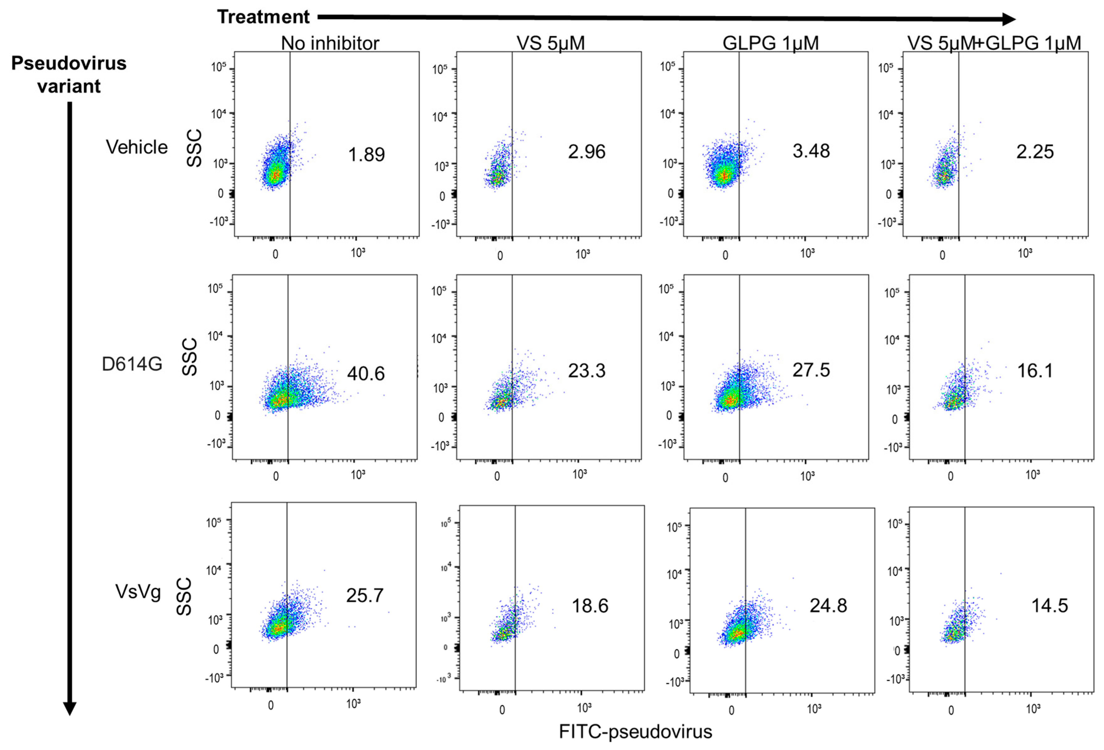 Pharmaceuticals 15 00618 g002