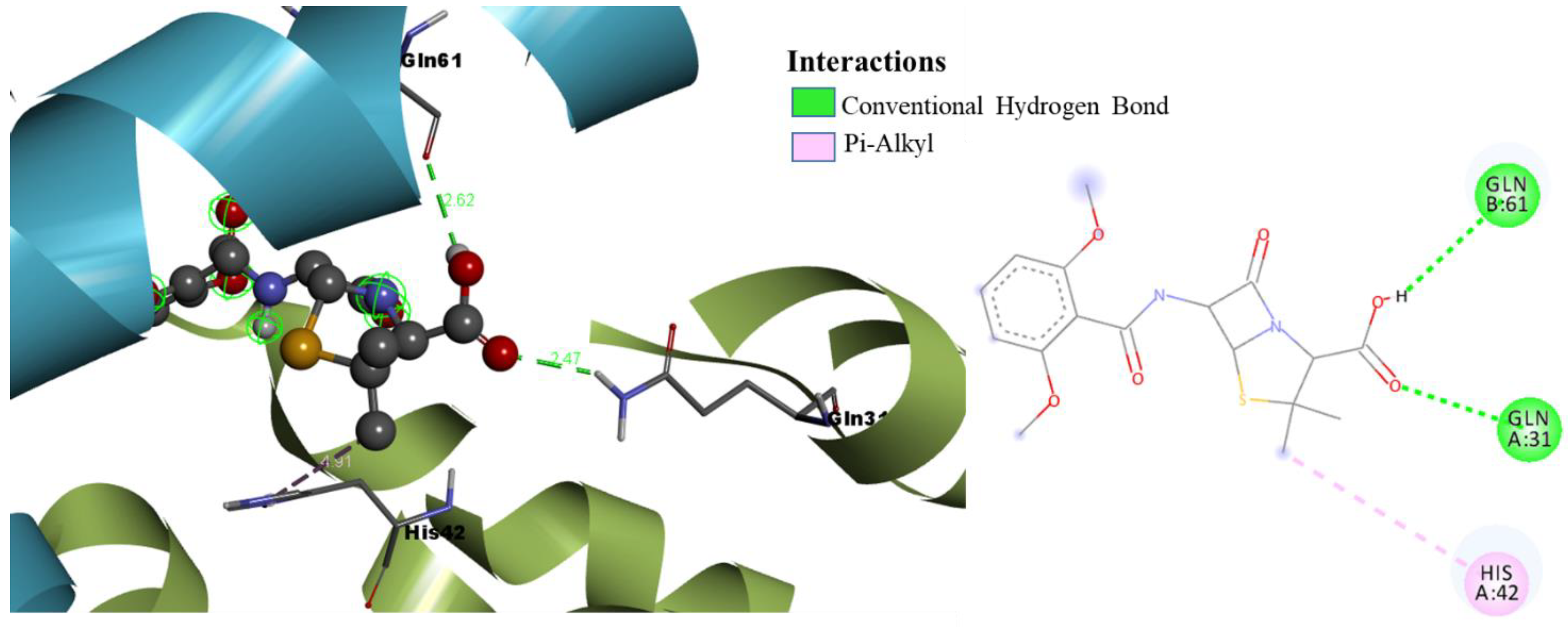 Pharmaceuticals 15 00635 g003