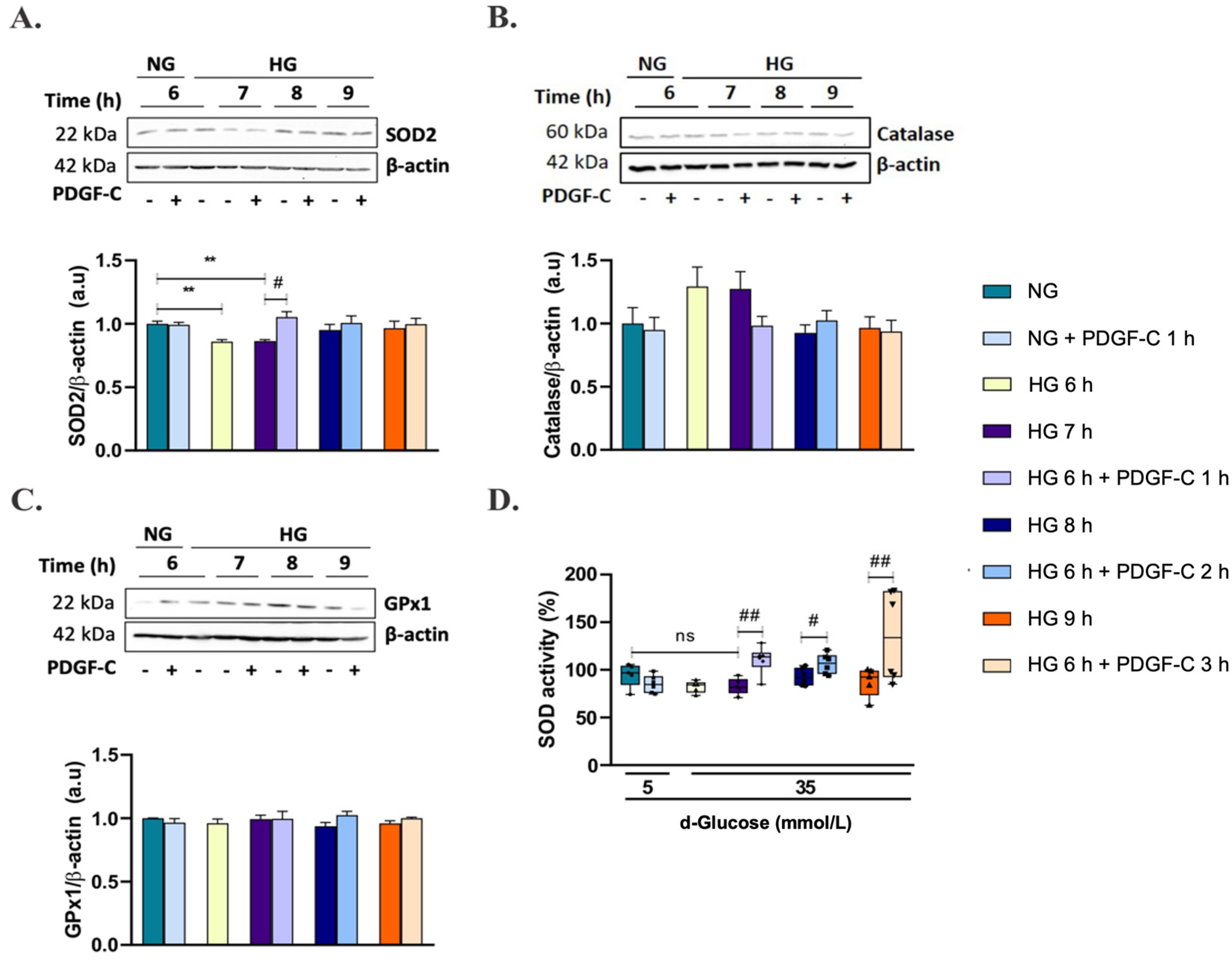 Pharmaceuticals 15 00639 g004