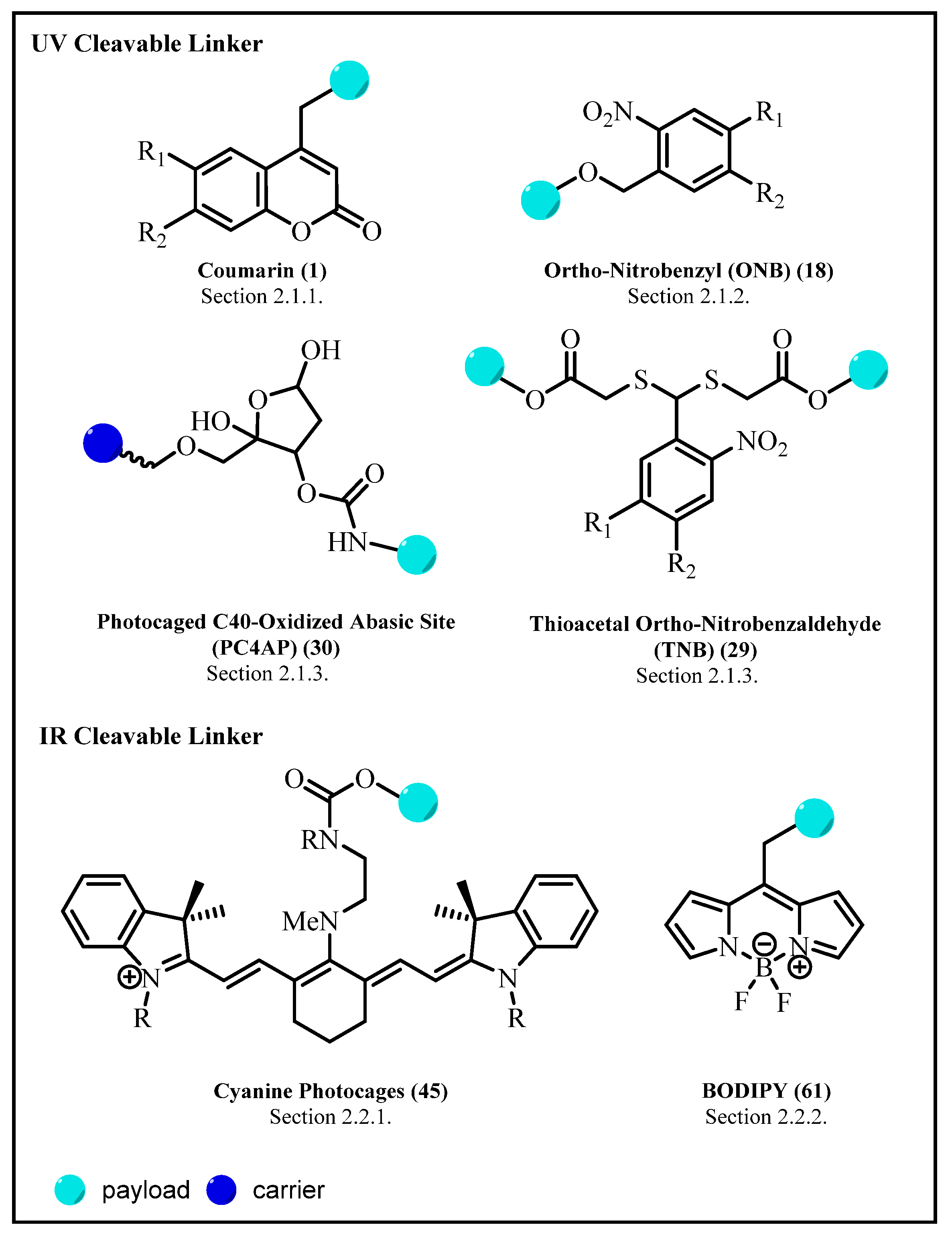 Pharmaceuticals 15 00655 g002