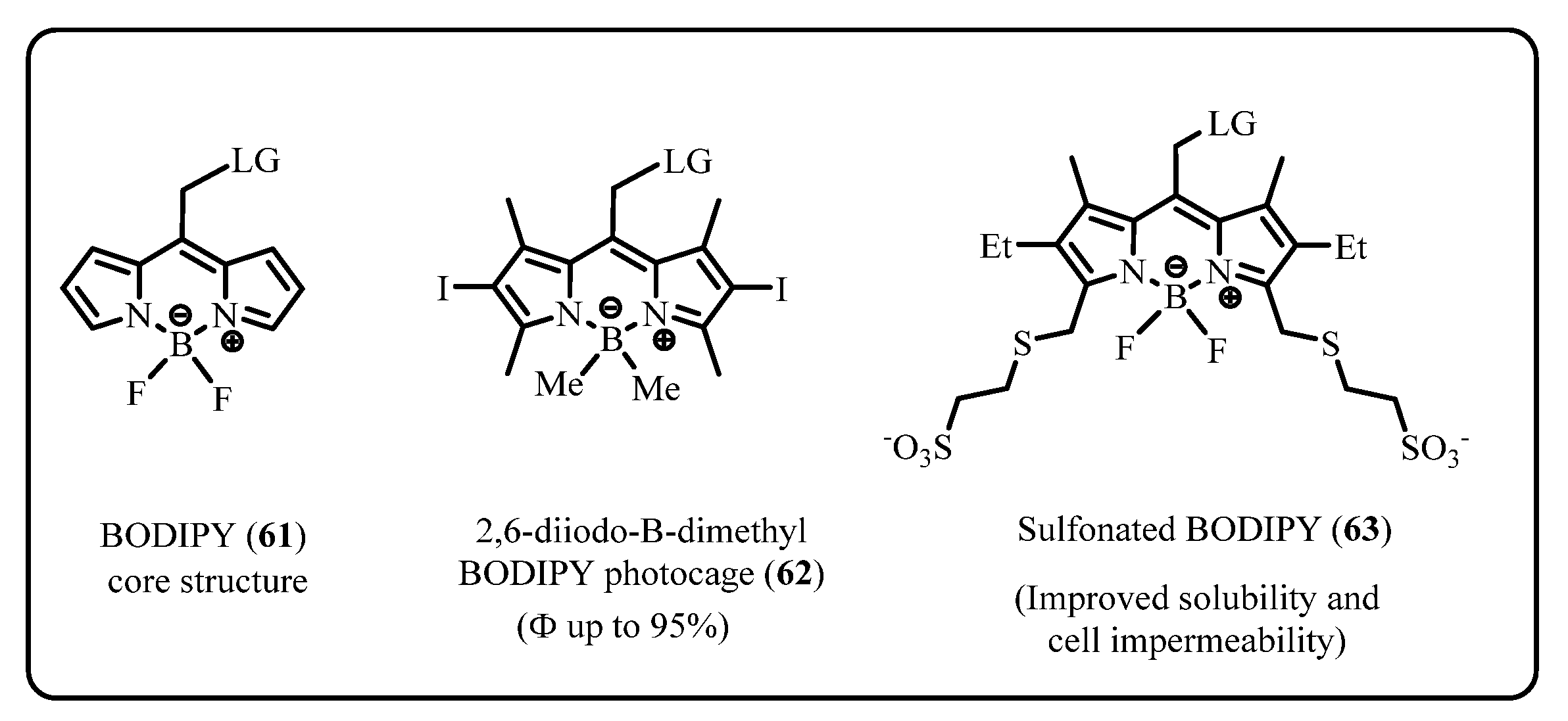 Pharmaceuticals 15 00655 g006