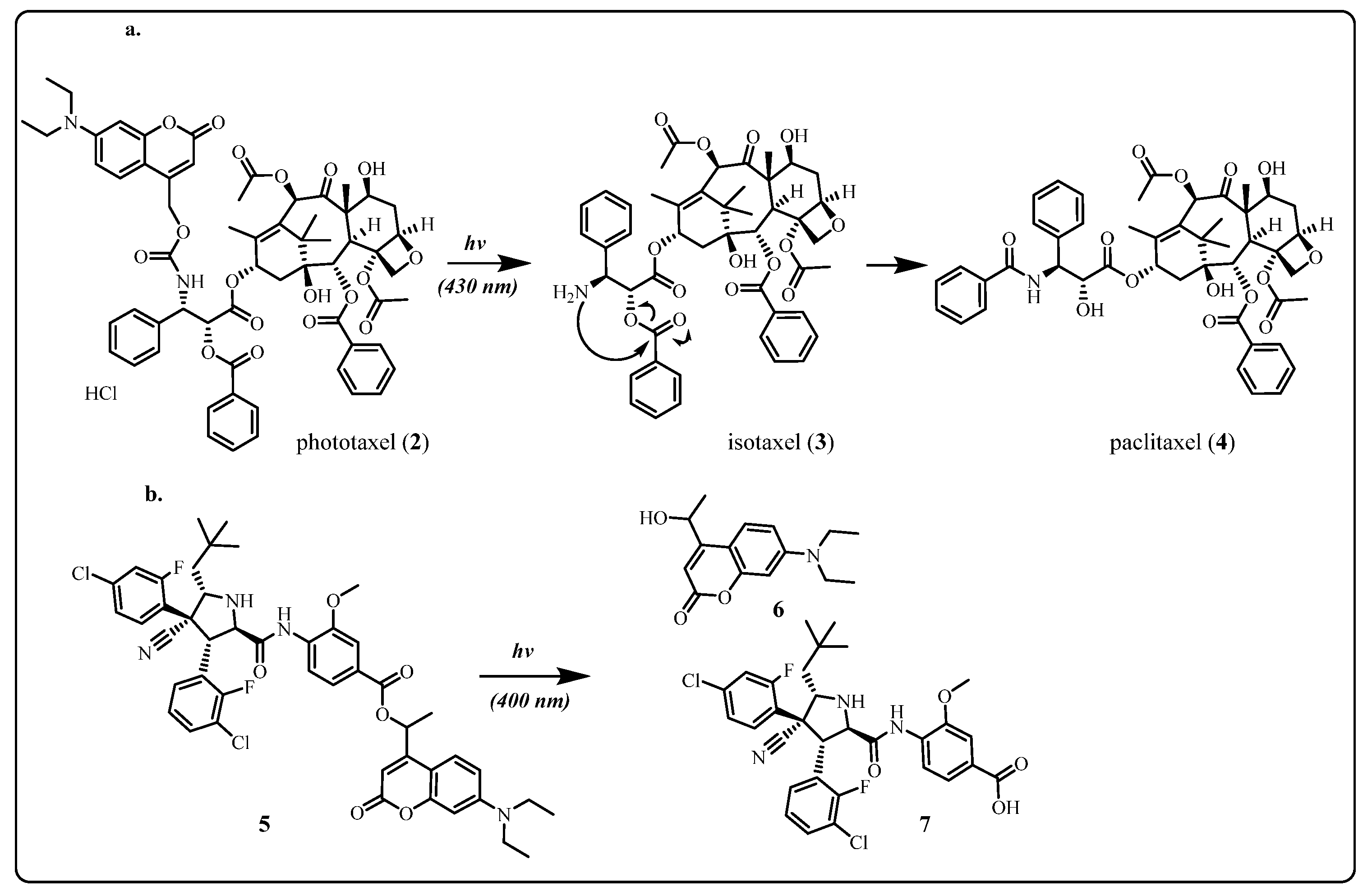 Pharmaceuticals 15 00655 sch001