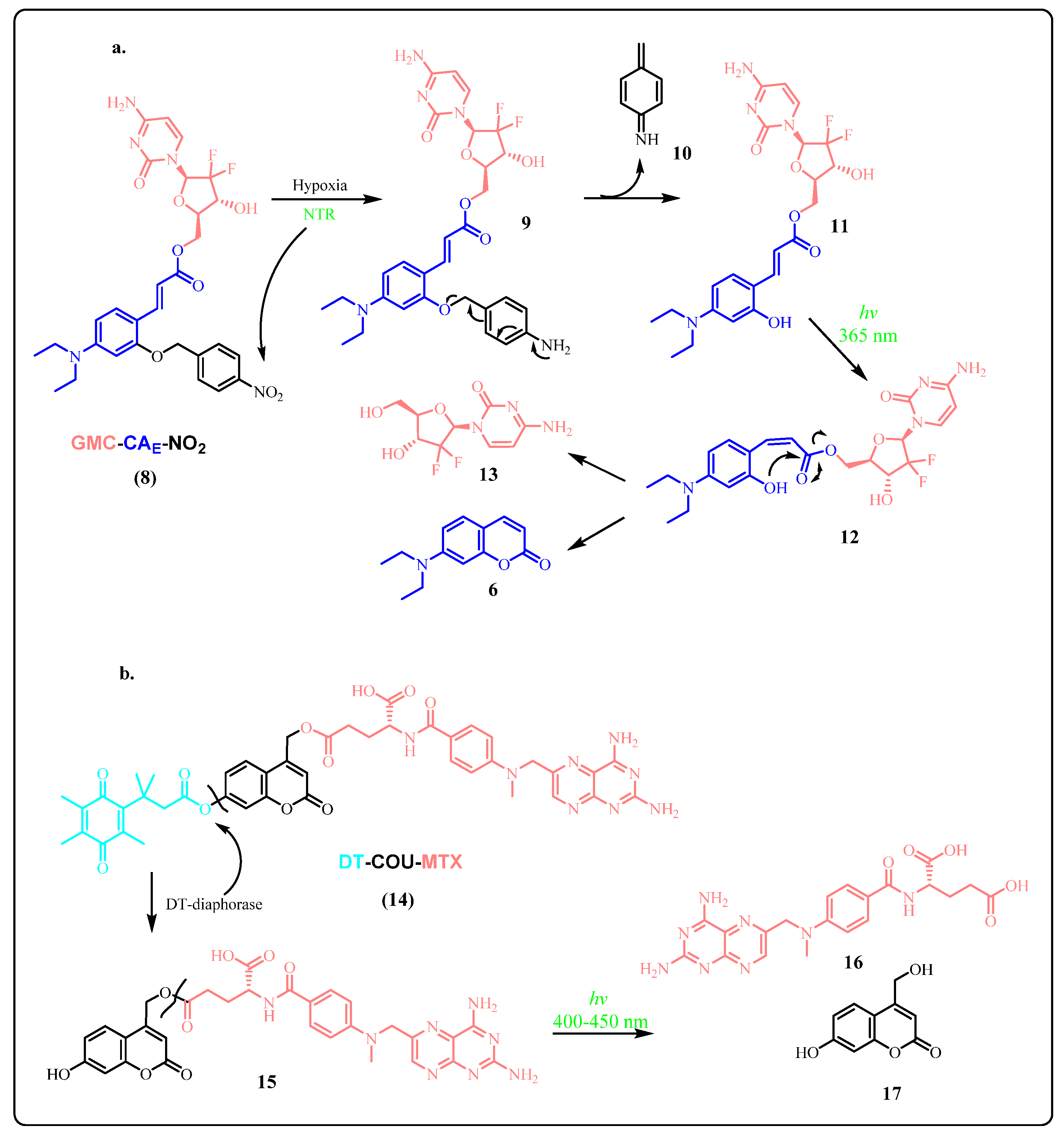 Pharmaceuticals 15 00655 sch002