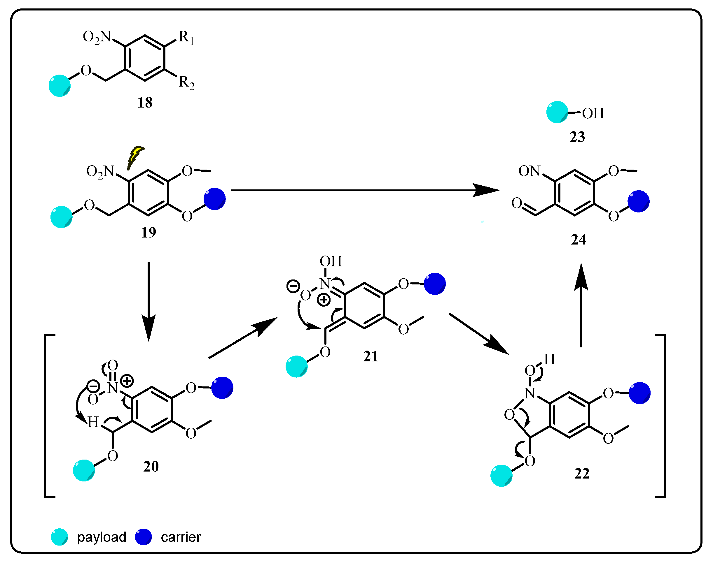 Pharmaceuticals 15 00655 sch003