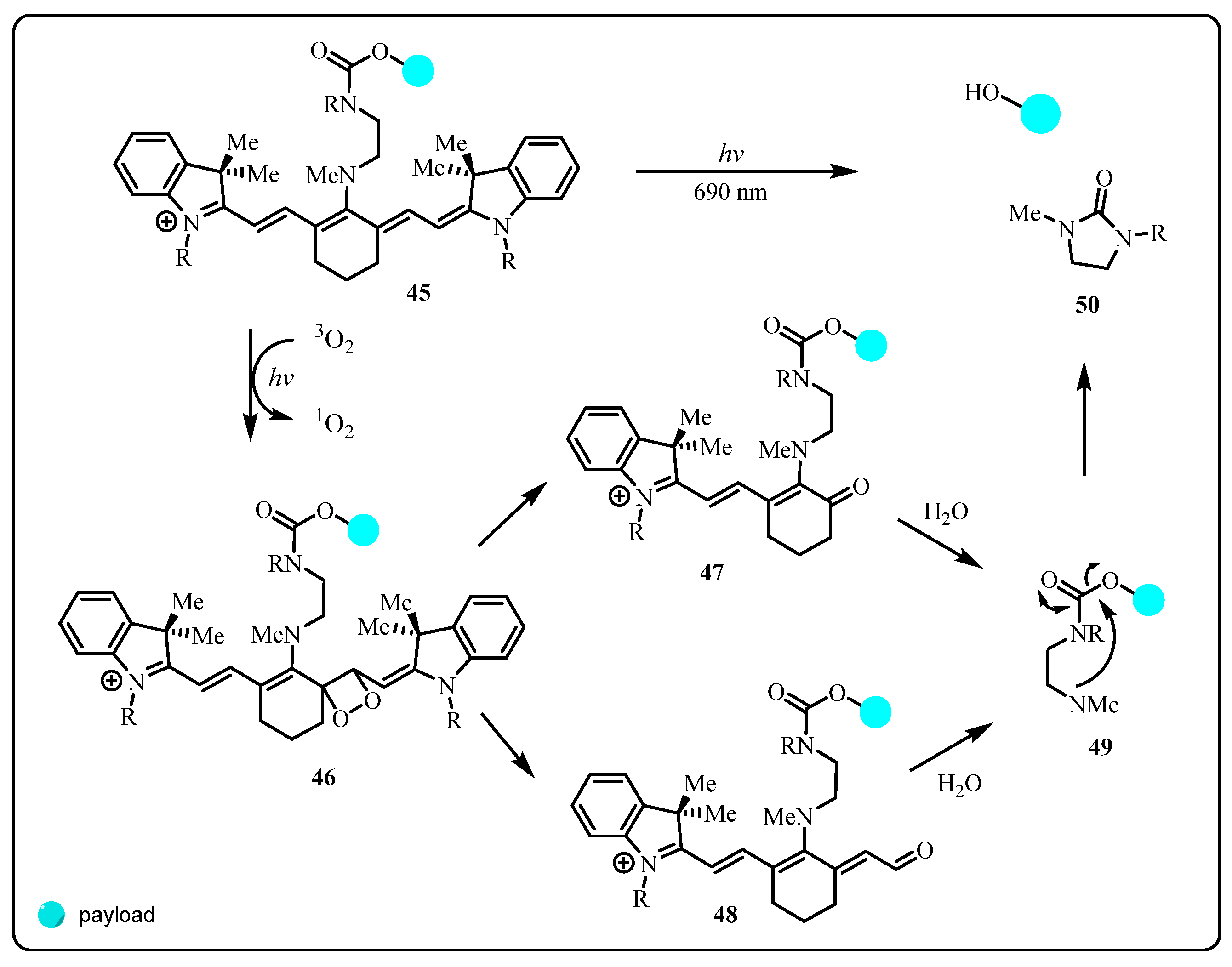 Pharmaceuticals 15 00655 sch006