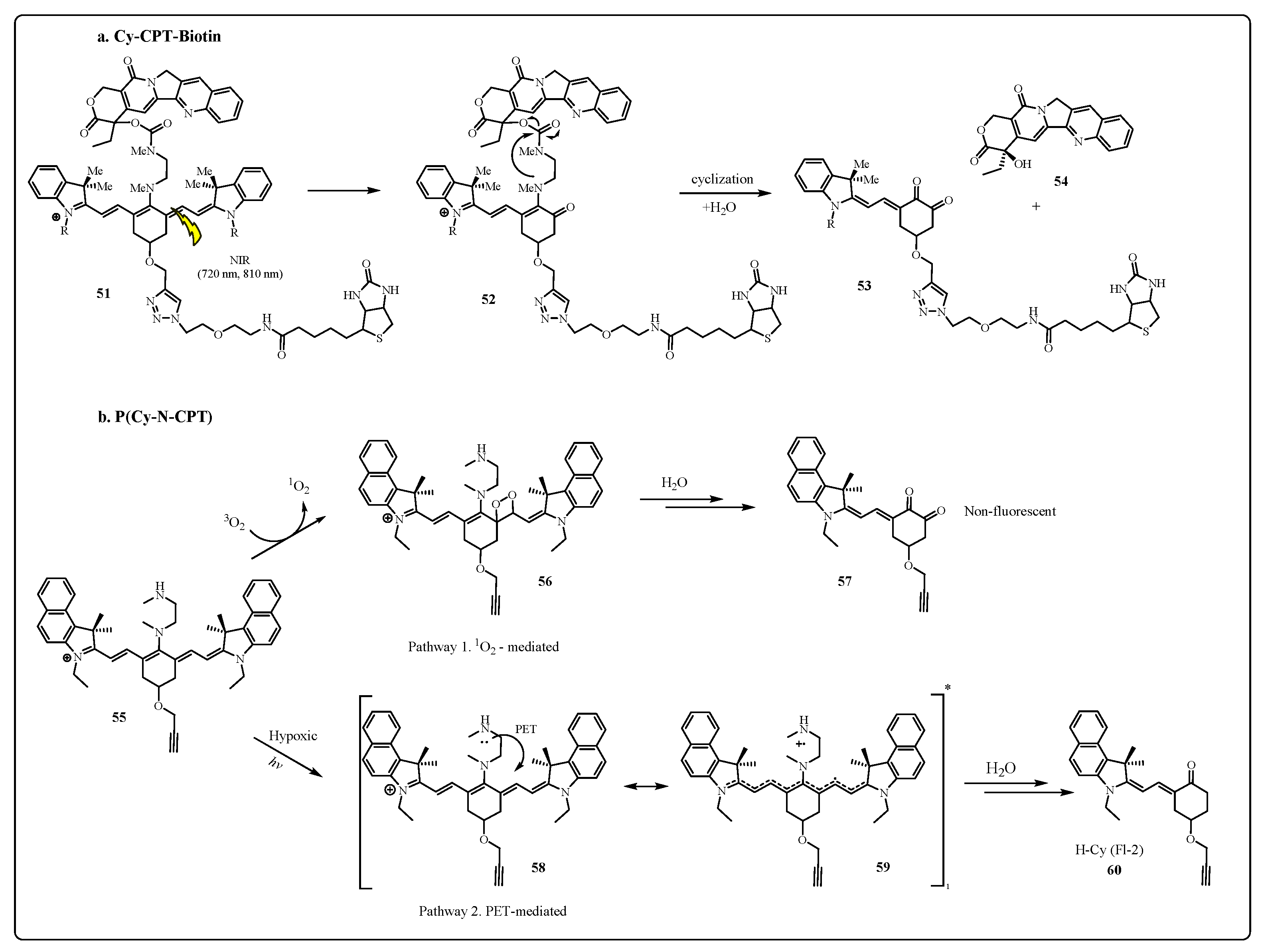 Pharmaceuticals 15 00655 sch007