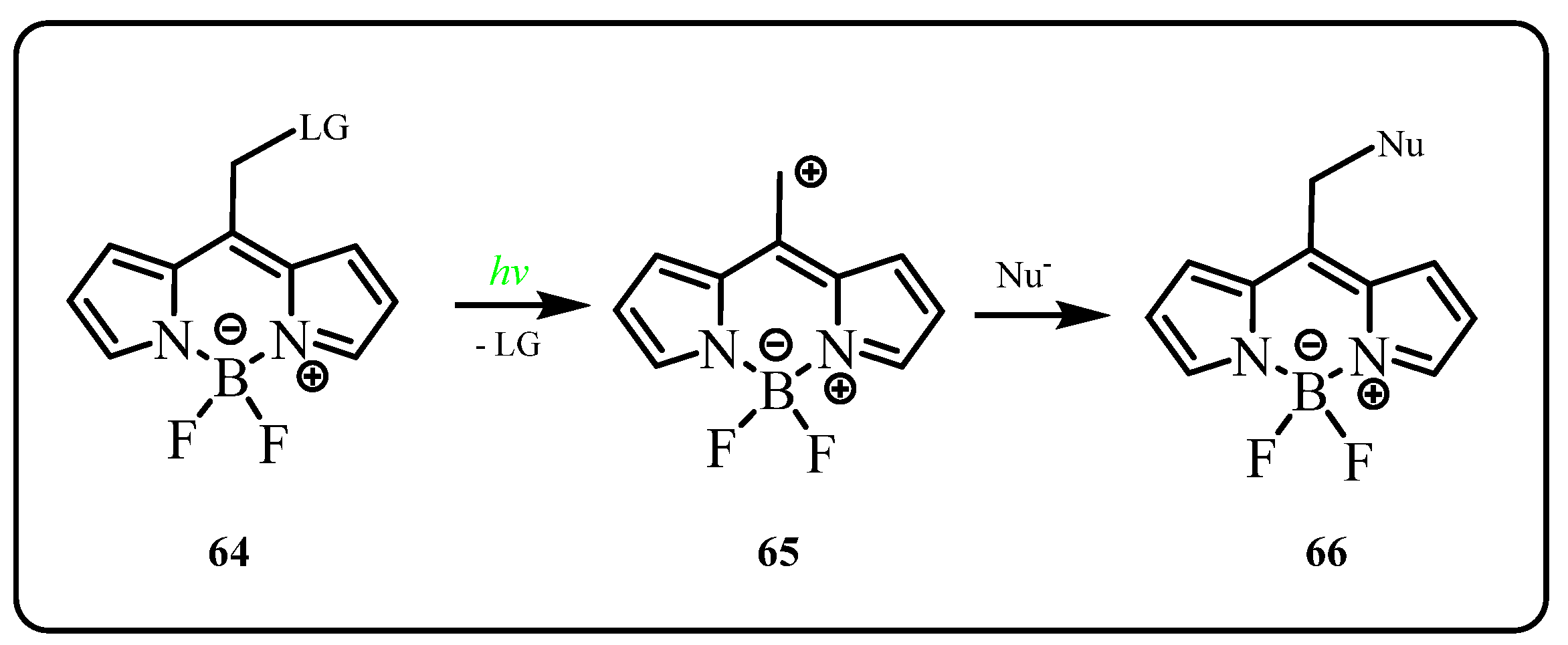 Pharmaceuticals 15 00655 sch008