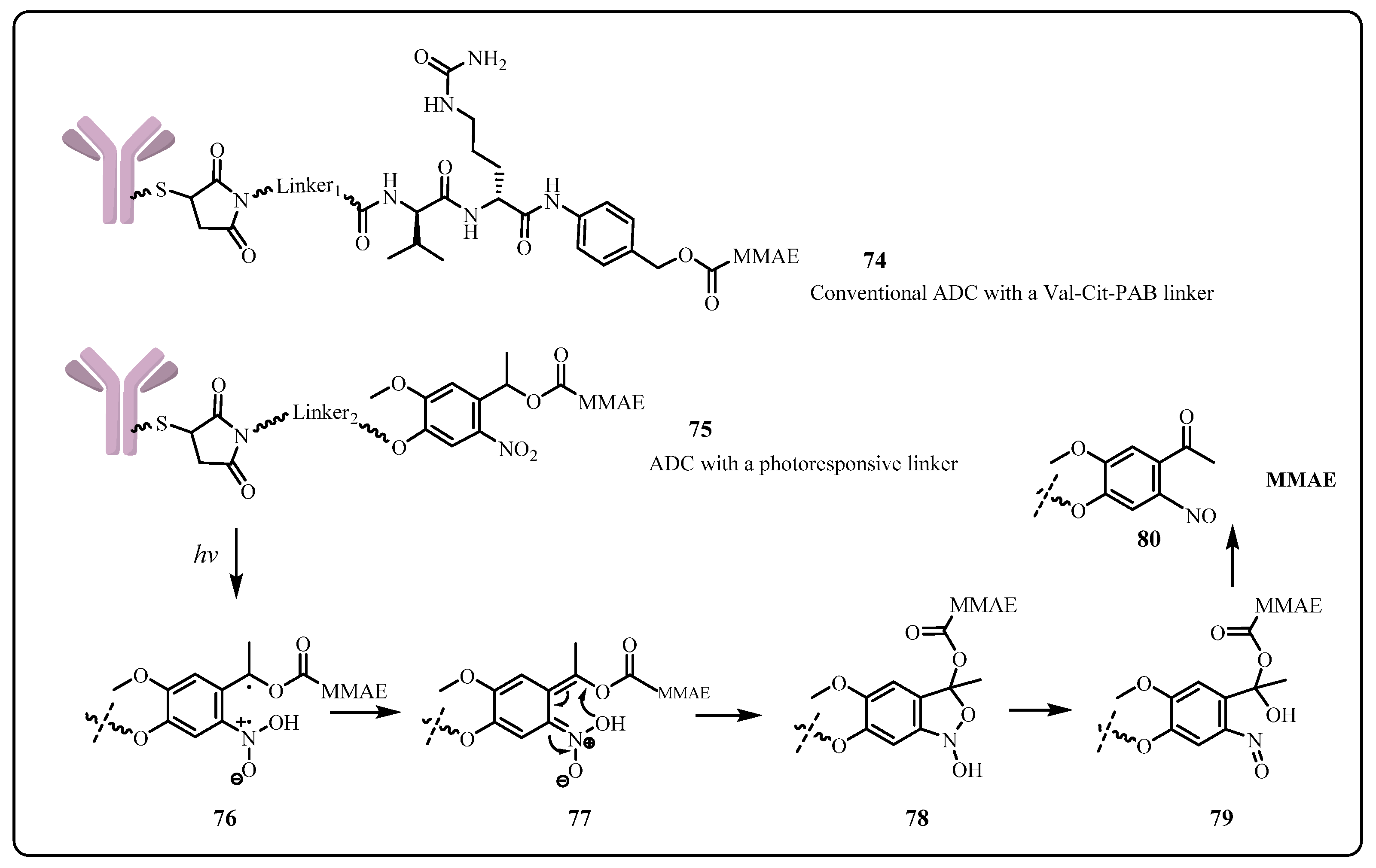 Pharmaceuticals 15 00655 sch009