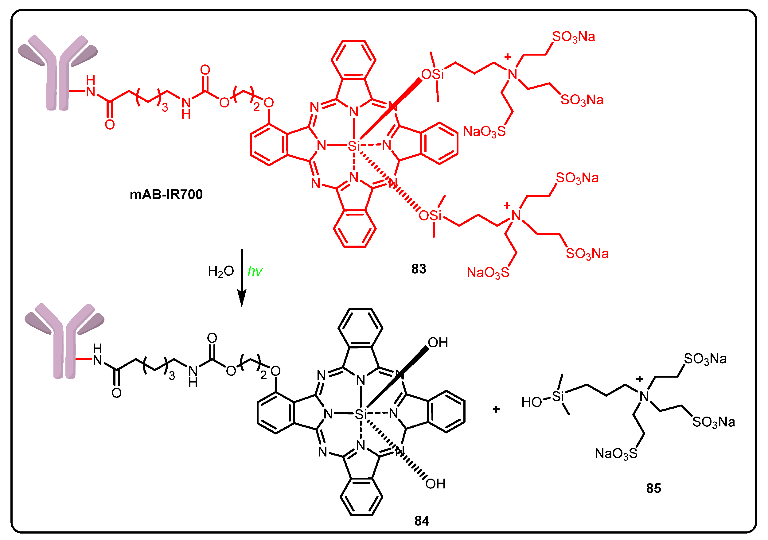 Pharmaceuticals 15 00655 sch010