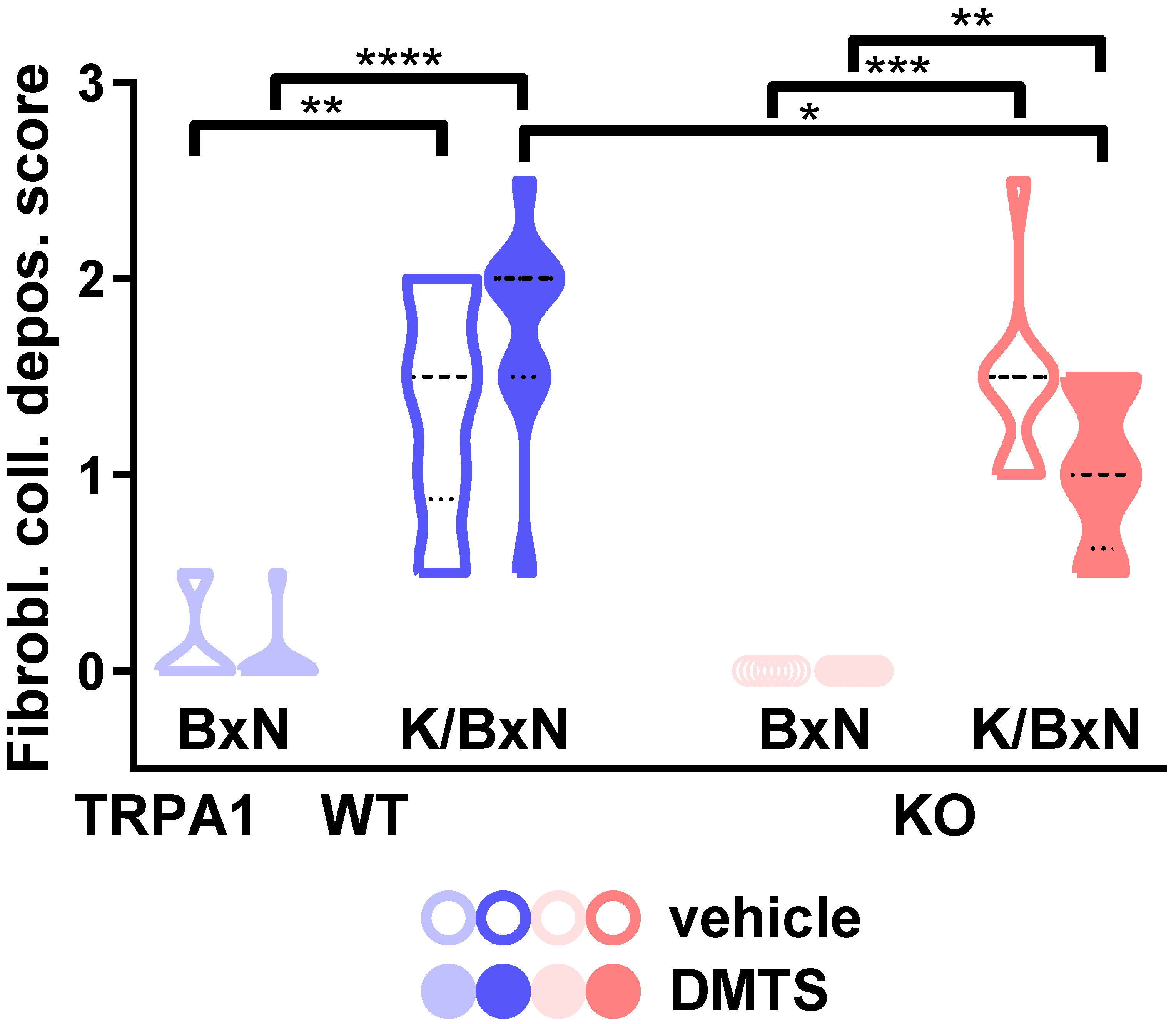 Pharmaceuticals 15 00671 g005