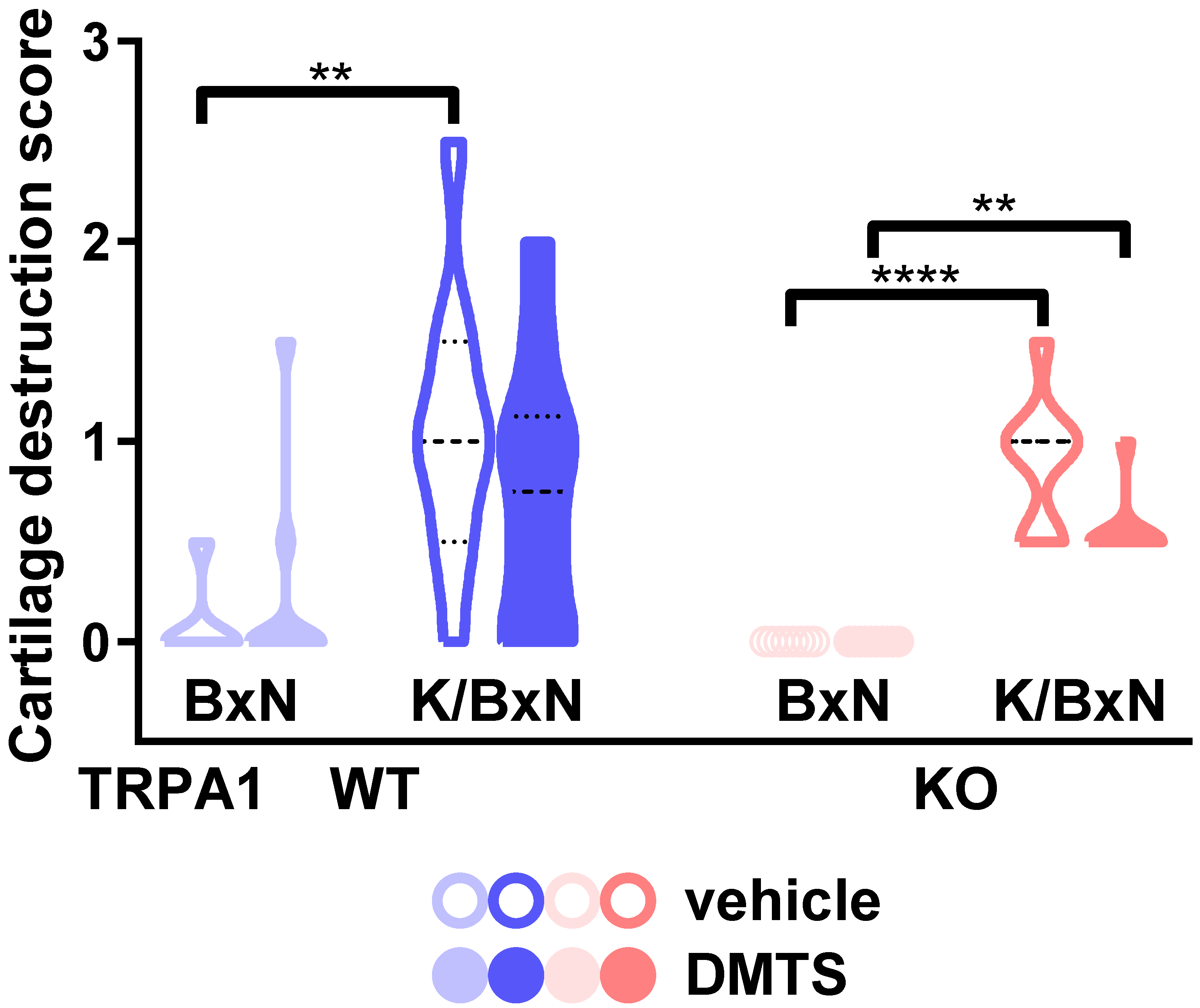 Pharmaceuticals 15 00671 g006