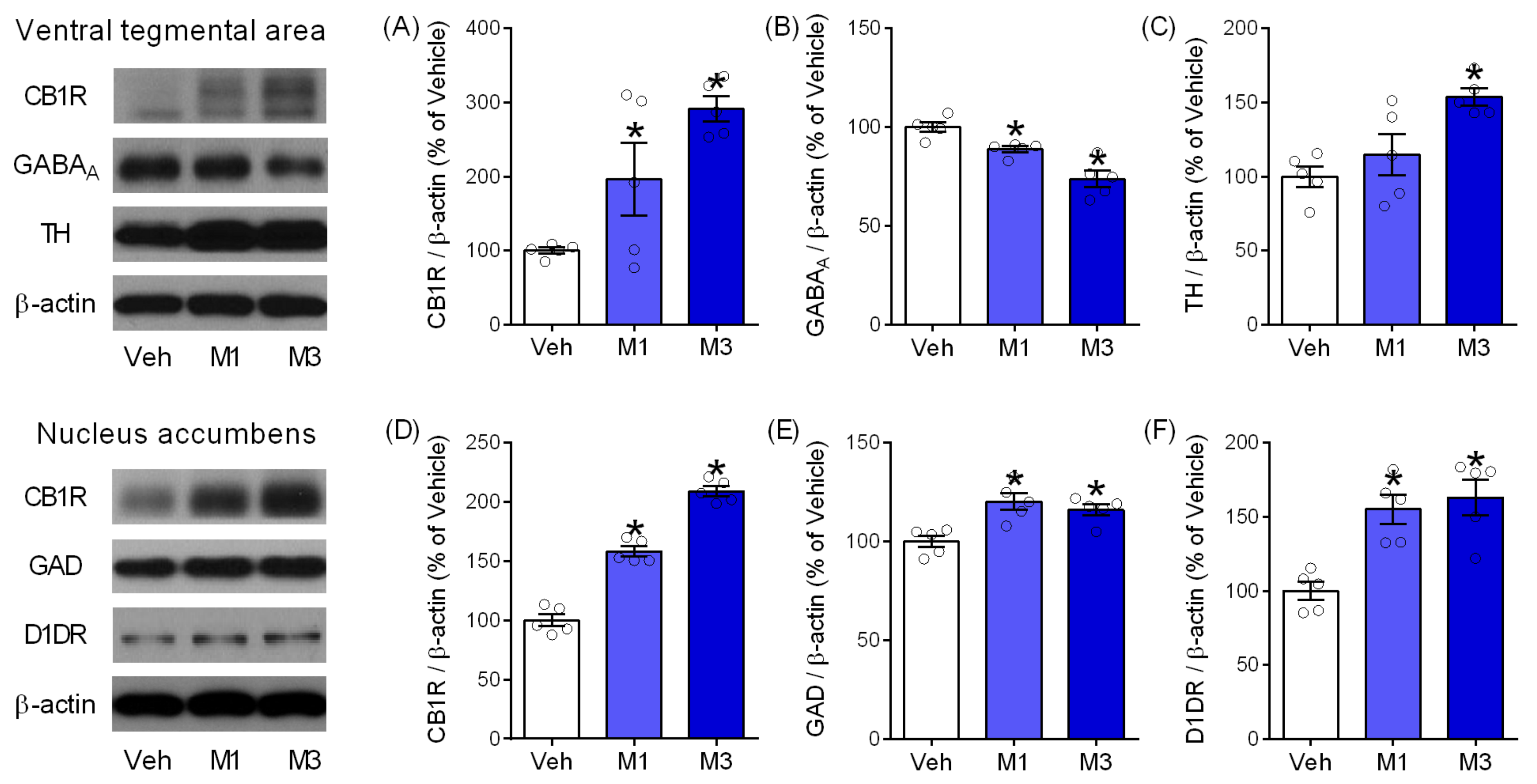 Pharmaceuticals 15 00710 g005