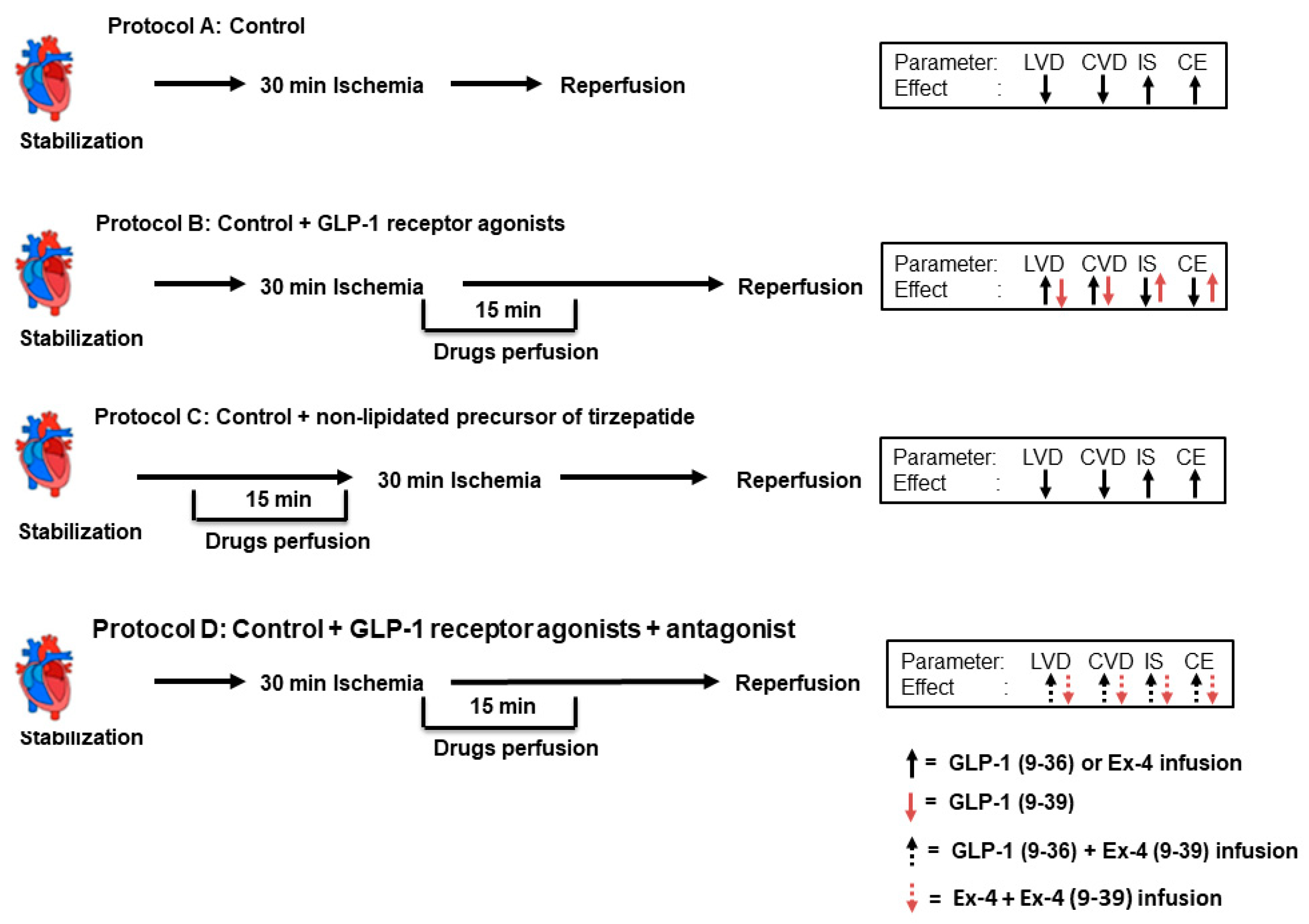Pharmaceuticals 15 00720 g008