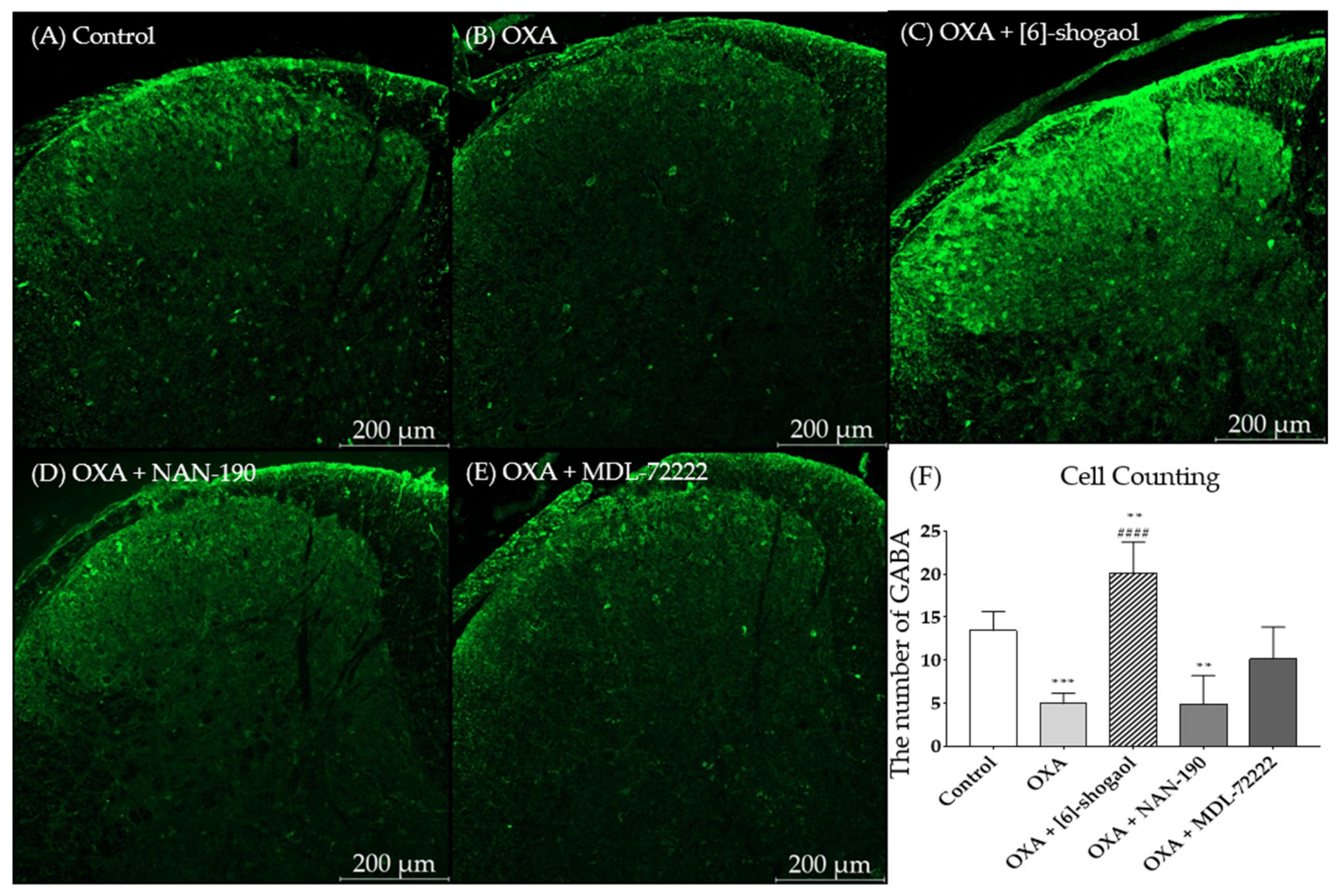 Pharmaceuticals 15 00726 g005