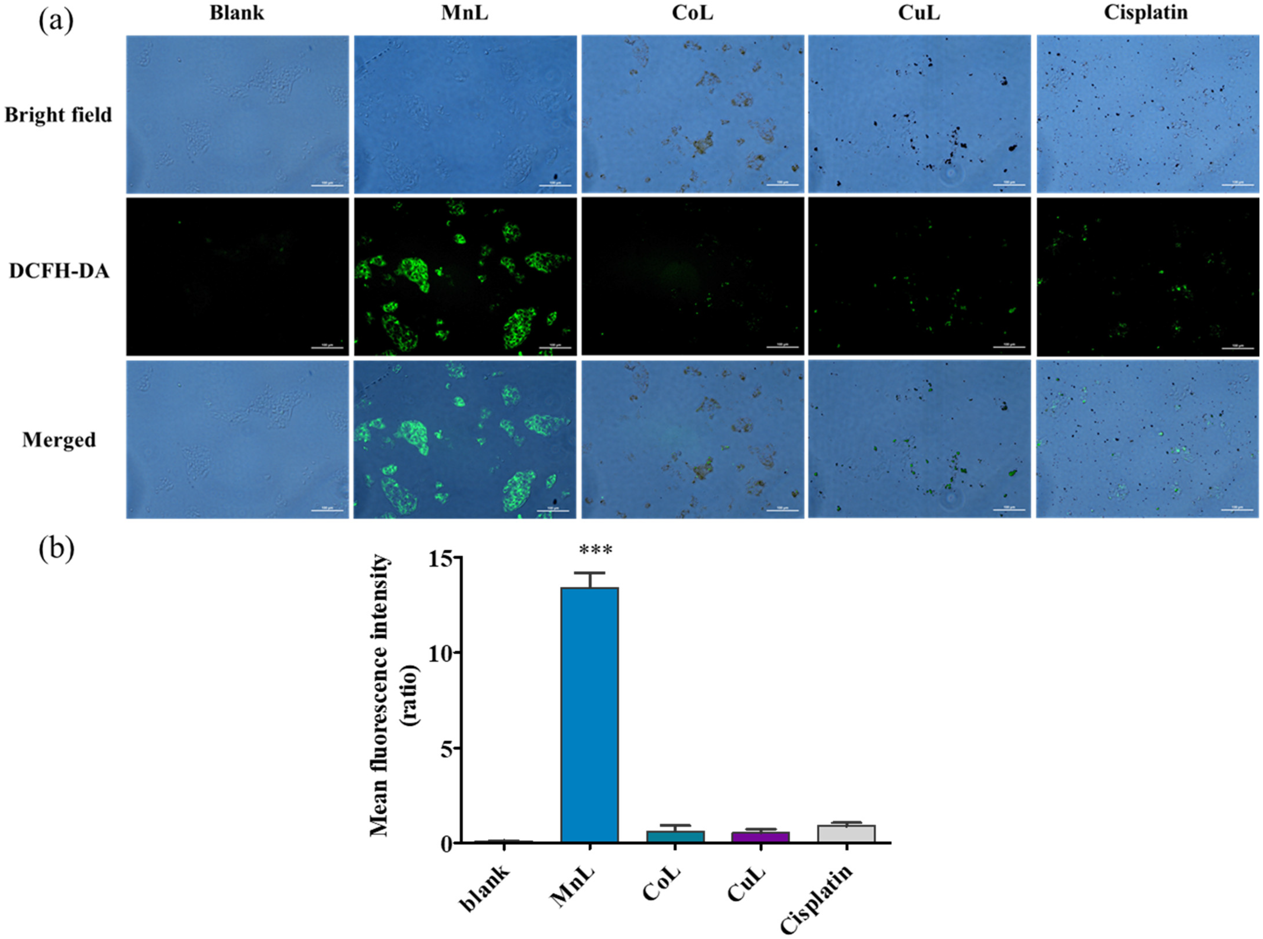 Pharmaceuticals 15 00751 g005
