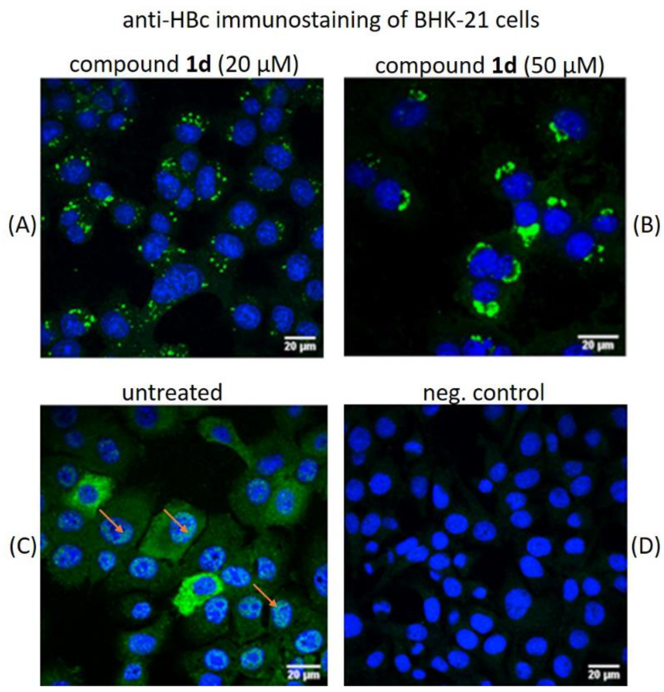 Pharmaceuticals 15 00773 g010