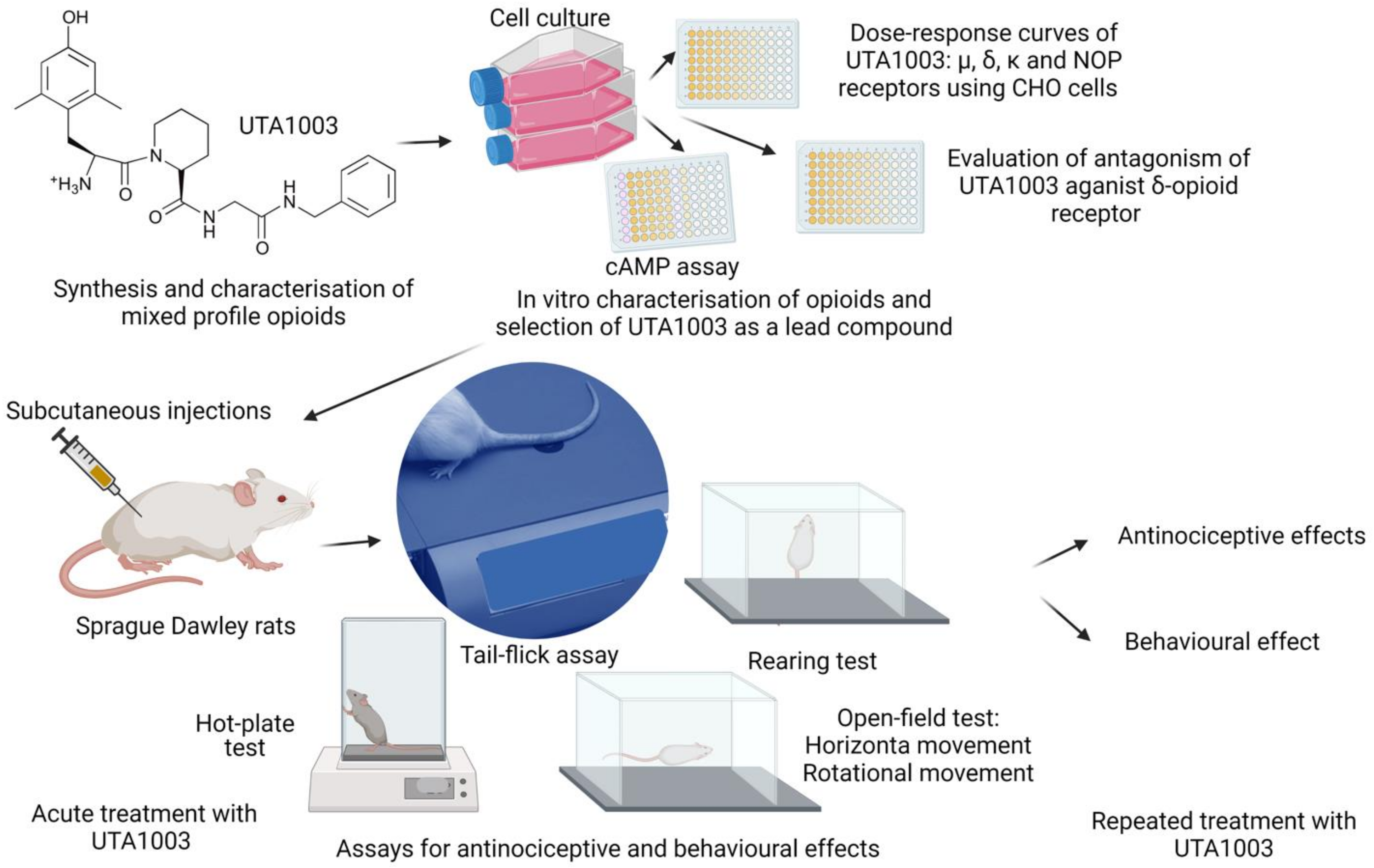 Pharmaceuticals 15 00789 g009 Pharmaceuticals 15 00789 g009