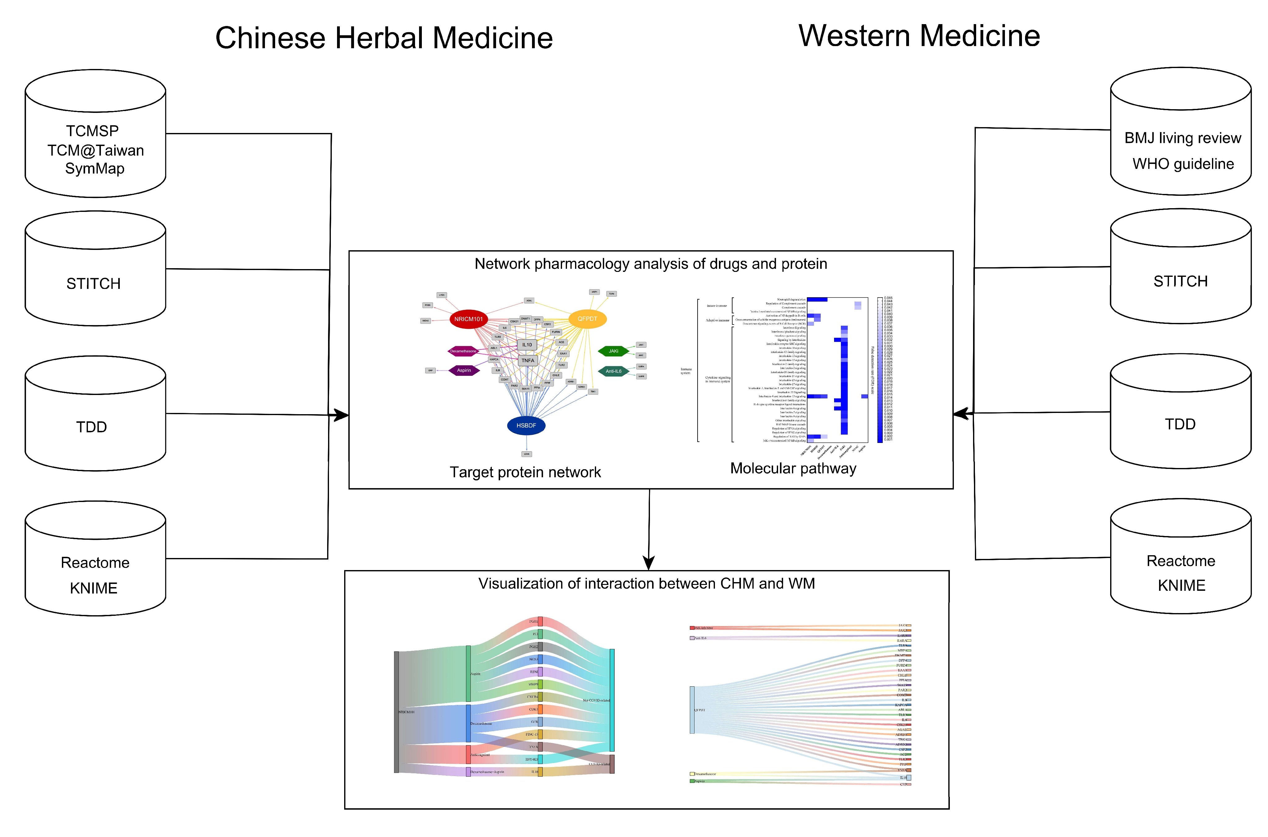 Pharmaceuticals 15 00794 g008