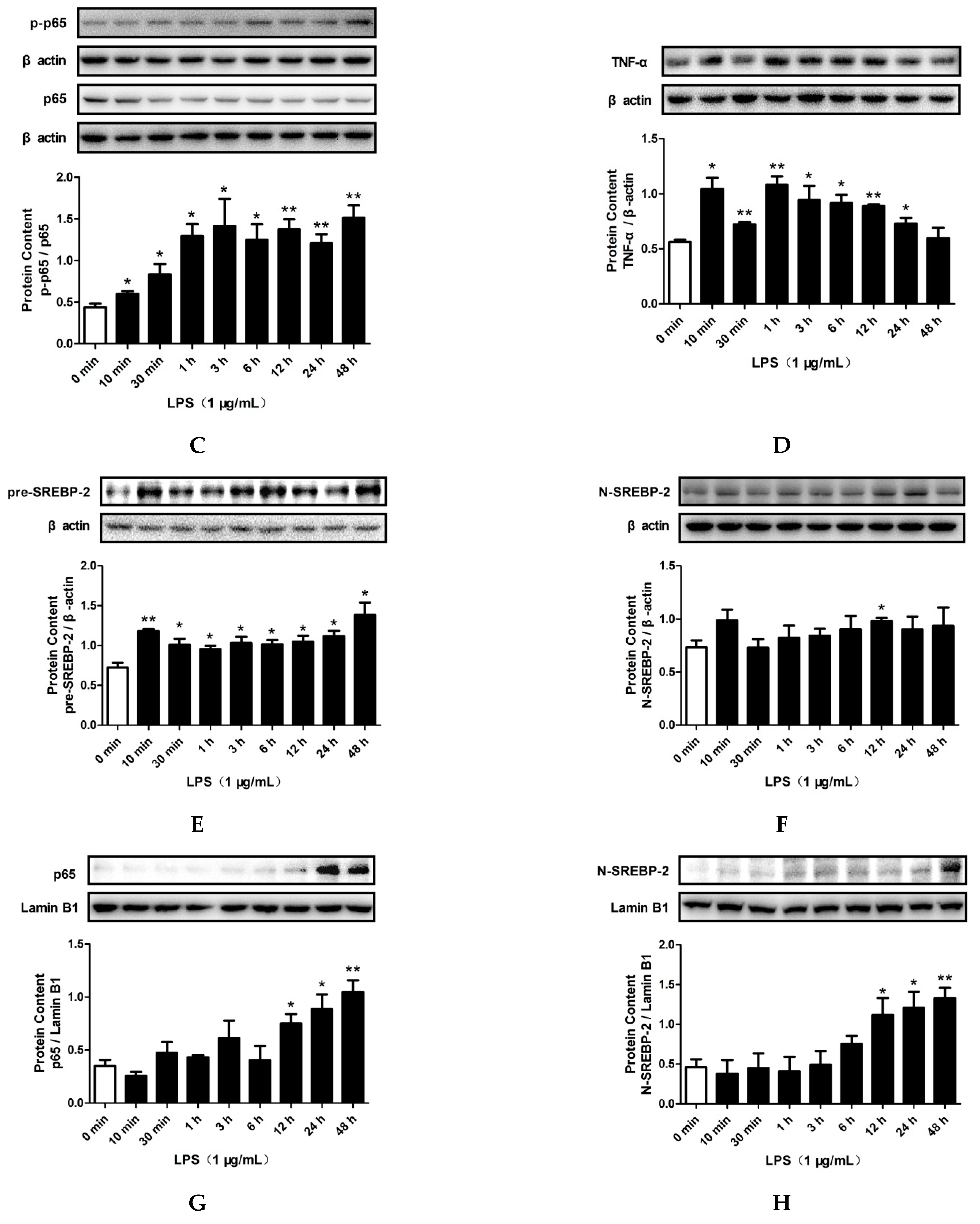 Pharmaceuticals 15 00813 g003b