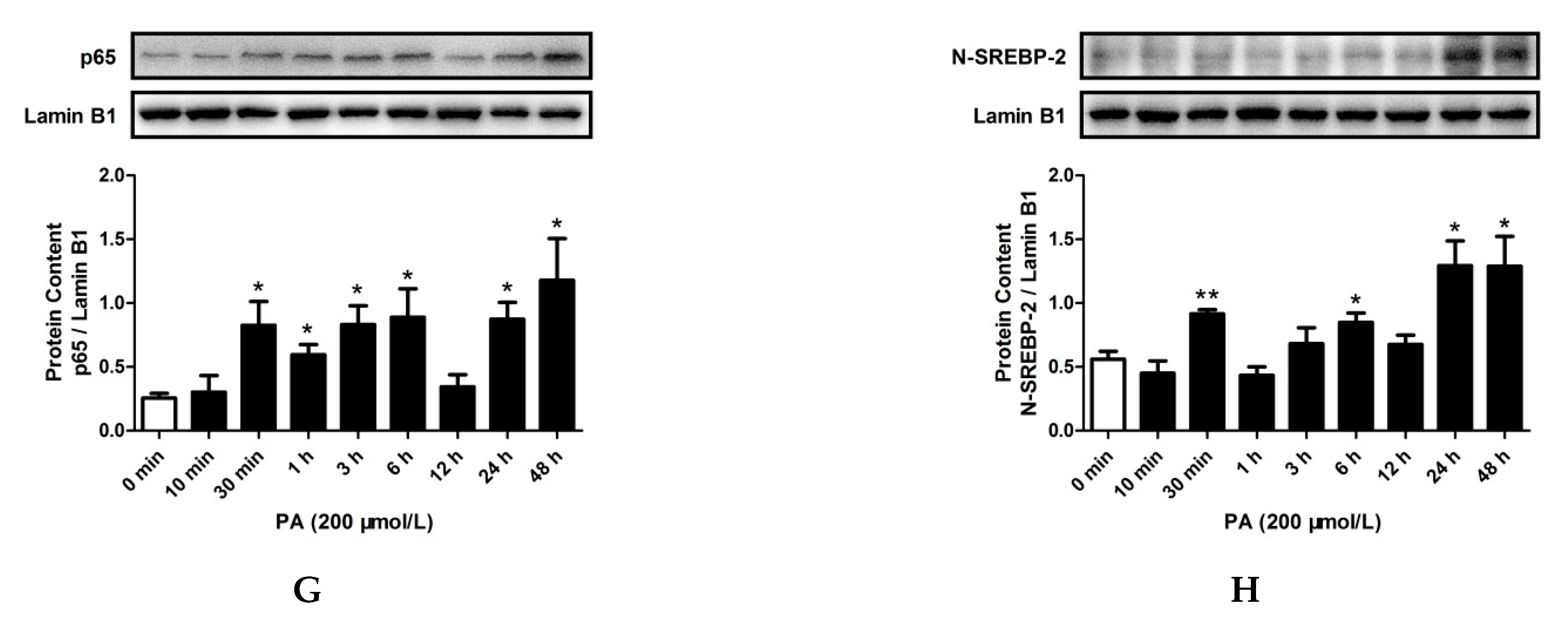 Pharmaceuticals 15 00813 g004b