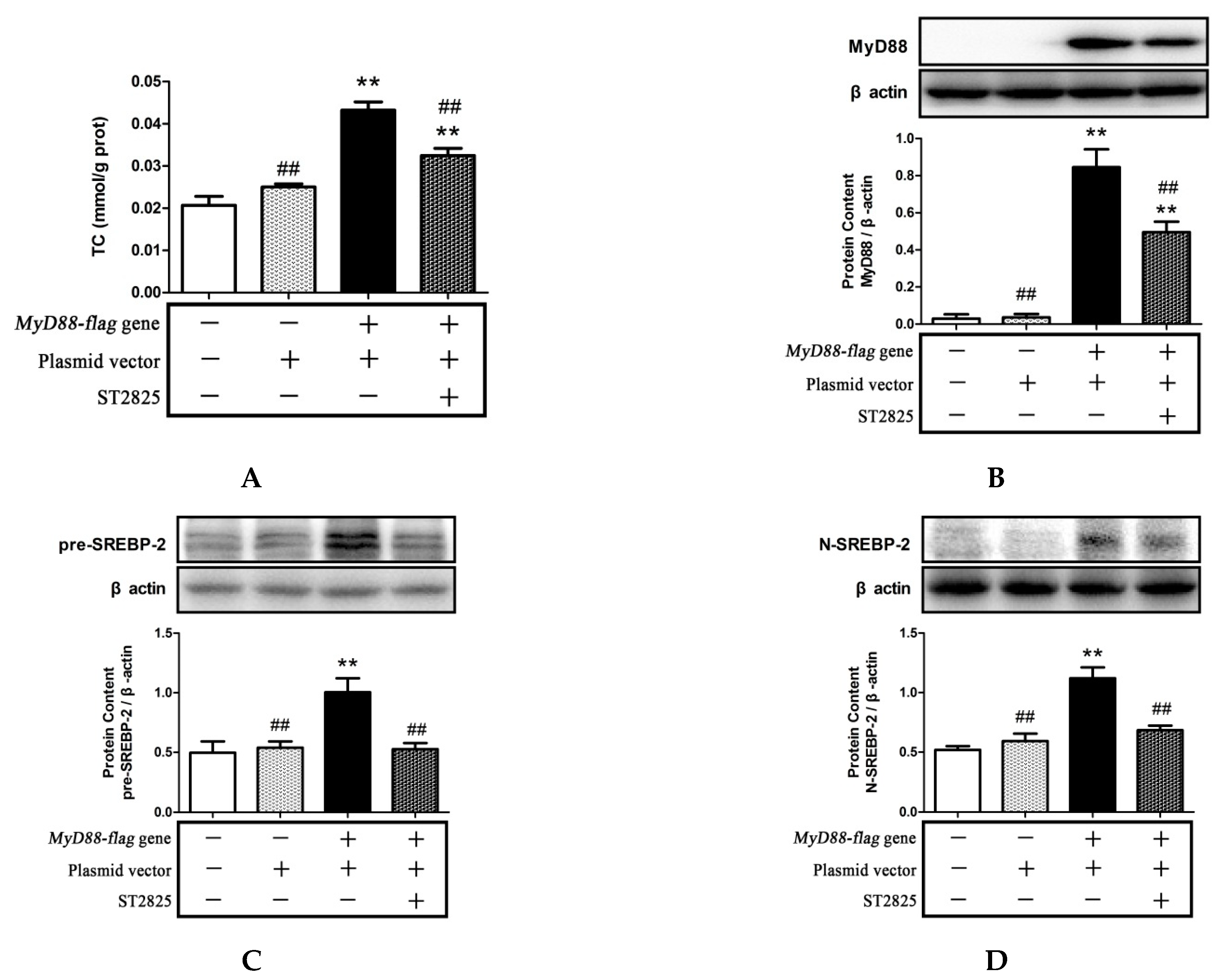 Pharmaceuticals 15 00813 g007
