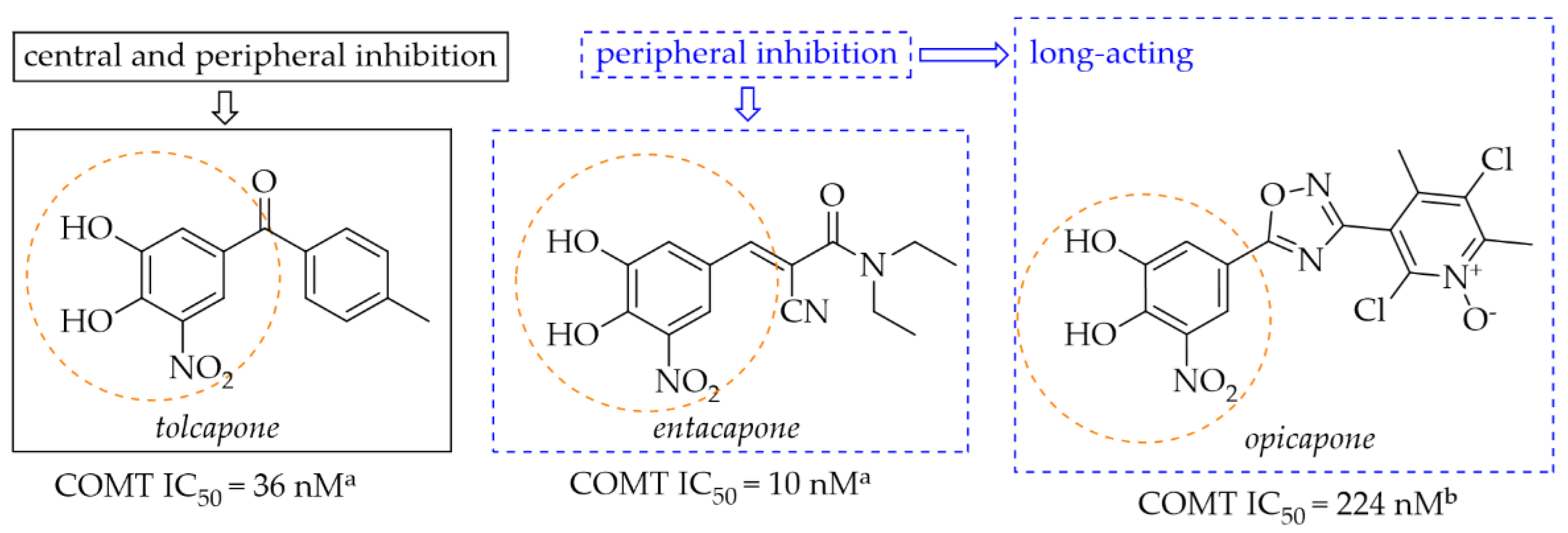 Pharmaceuticals 15 00847 g012