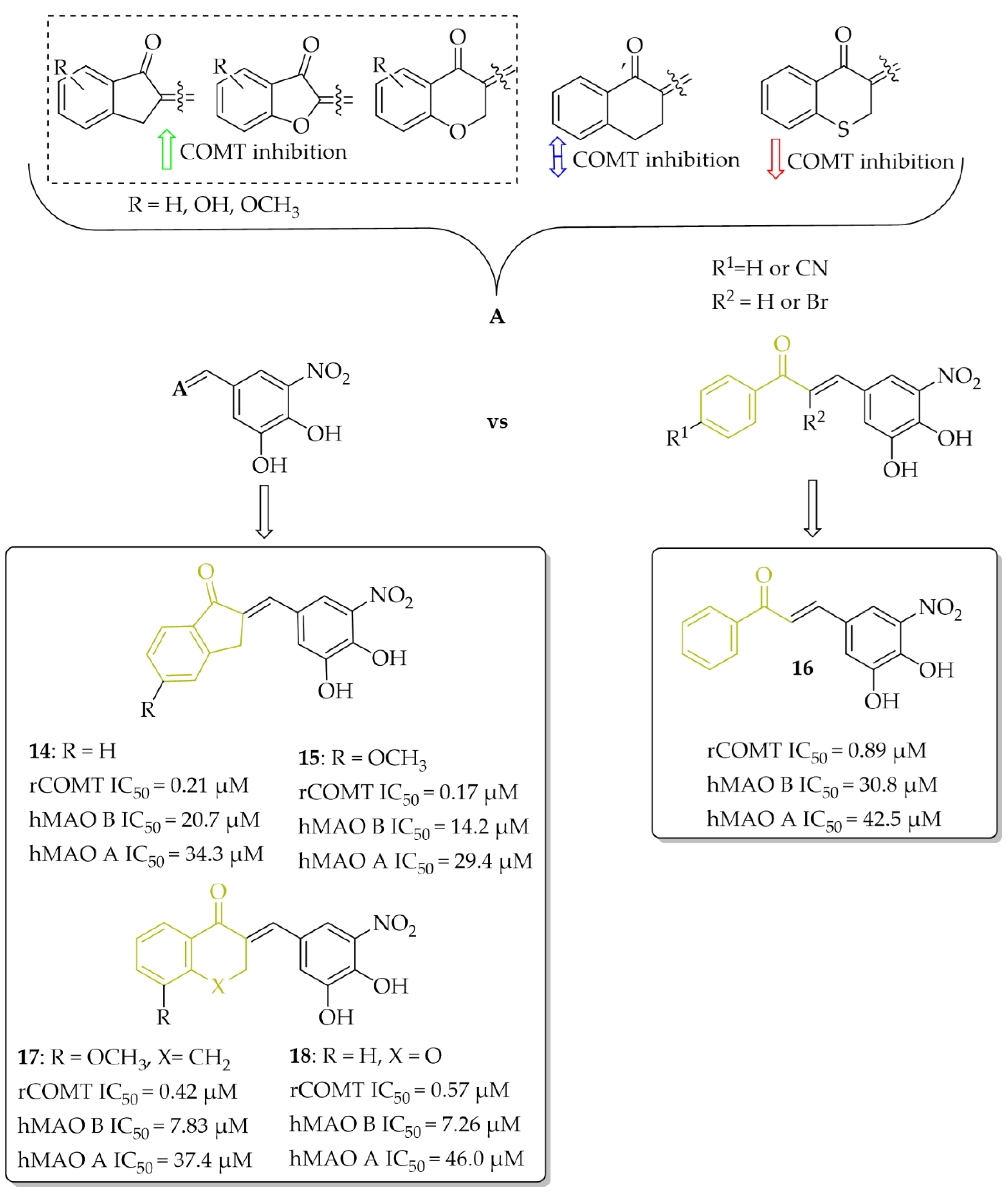 Pharmaceuticals 15 00847 g014