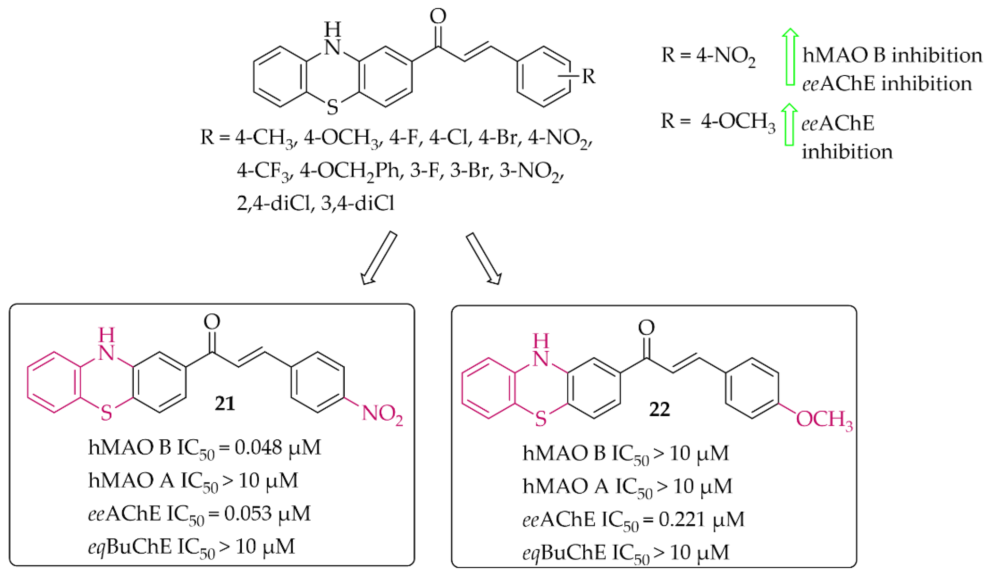 Pharmaceuticals 15 00847 g017