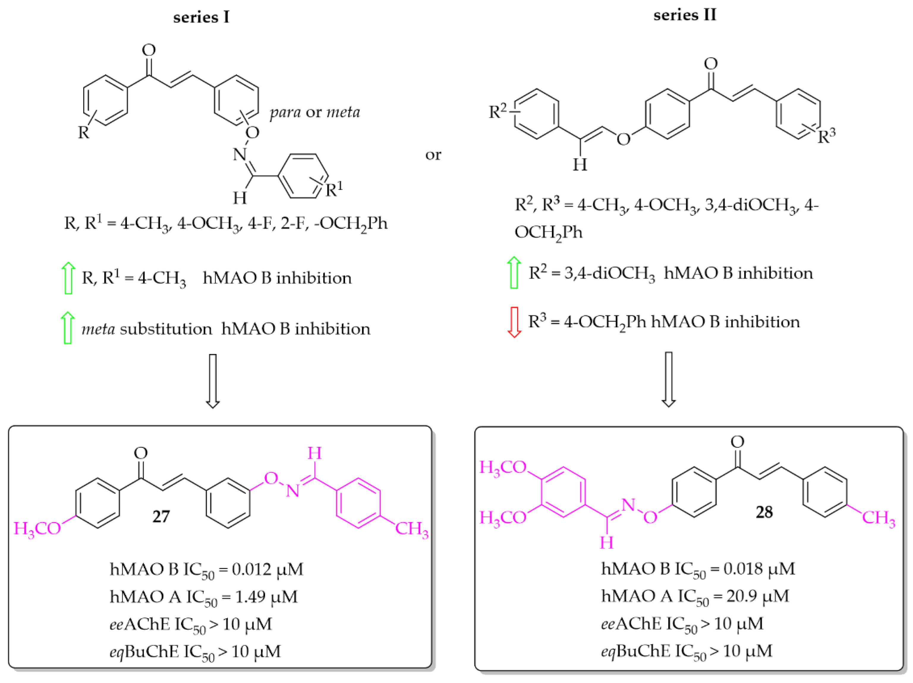 Pharmaceuticals 15 00847 g020