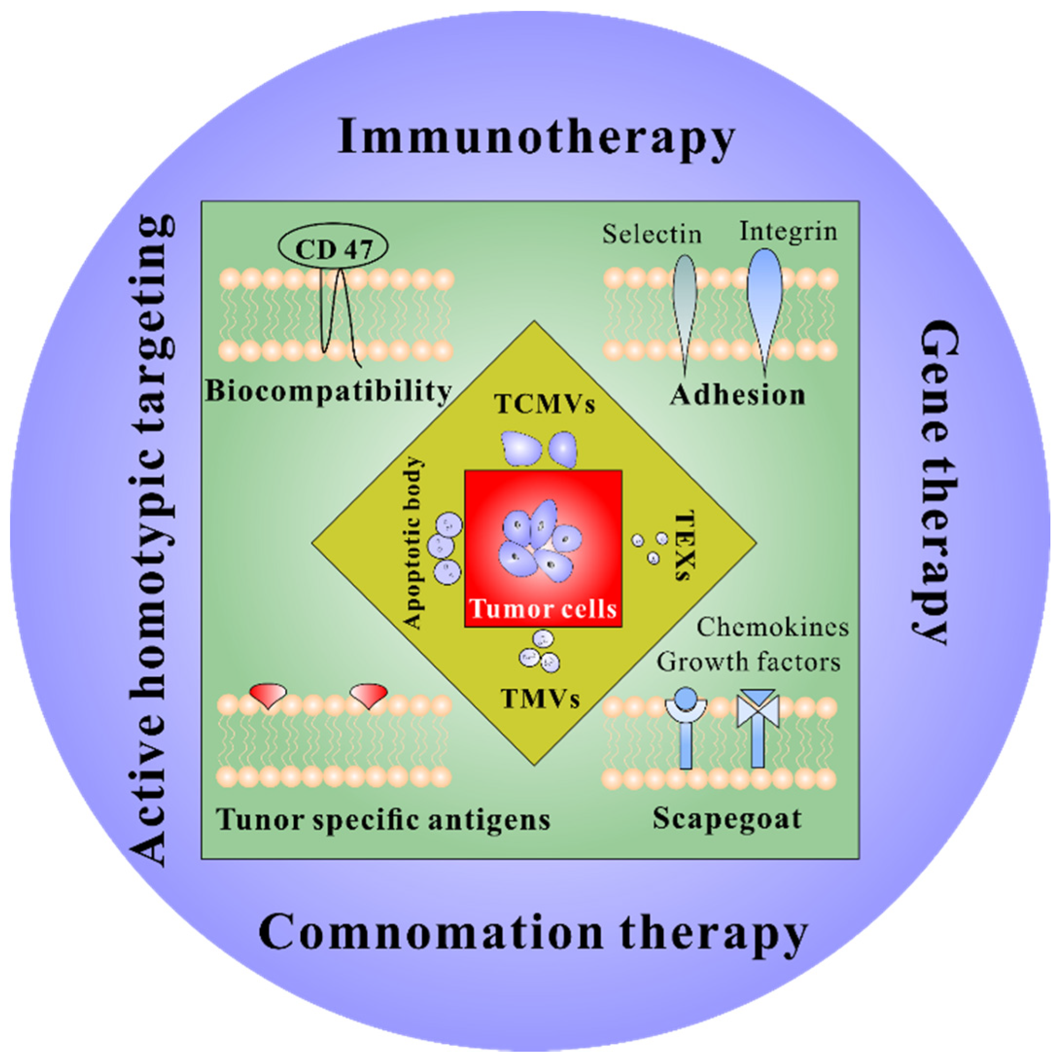 Pharmaceuticals 15 00876 g001