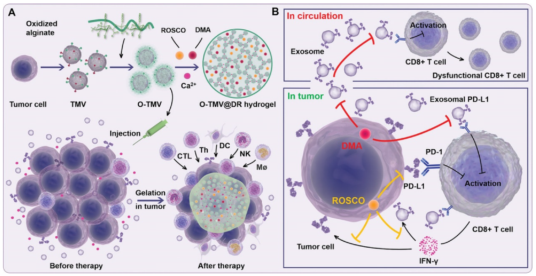 Pharmaceuticals 15 00876 g006