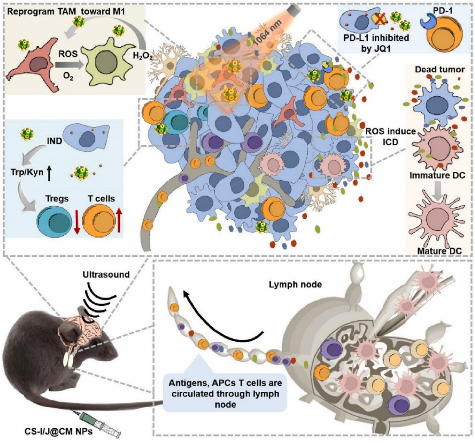 Pharmaceuticals 15 00876 g007