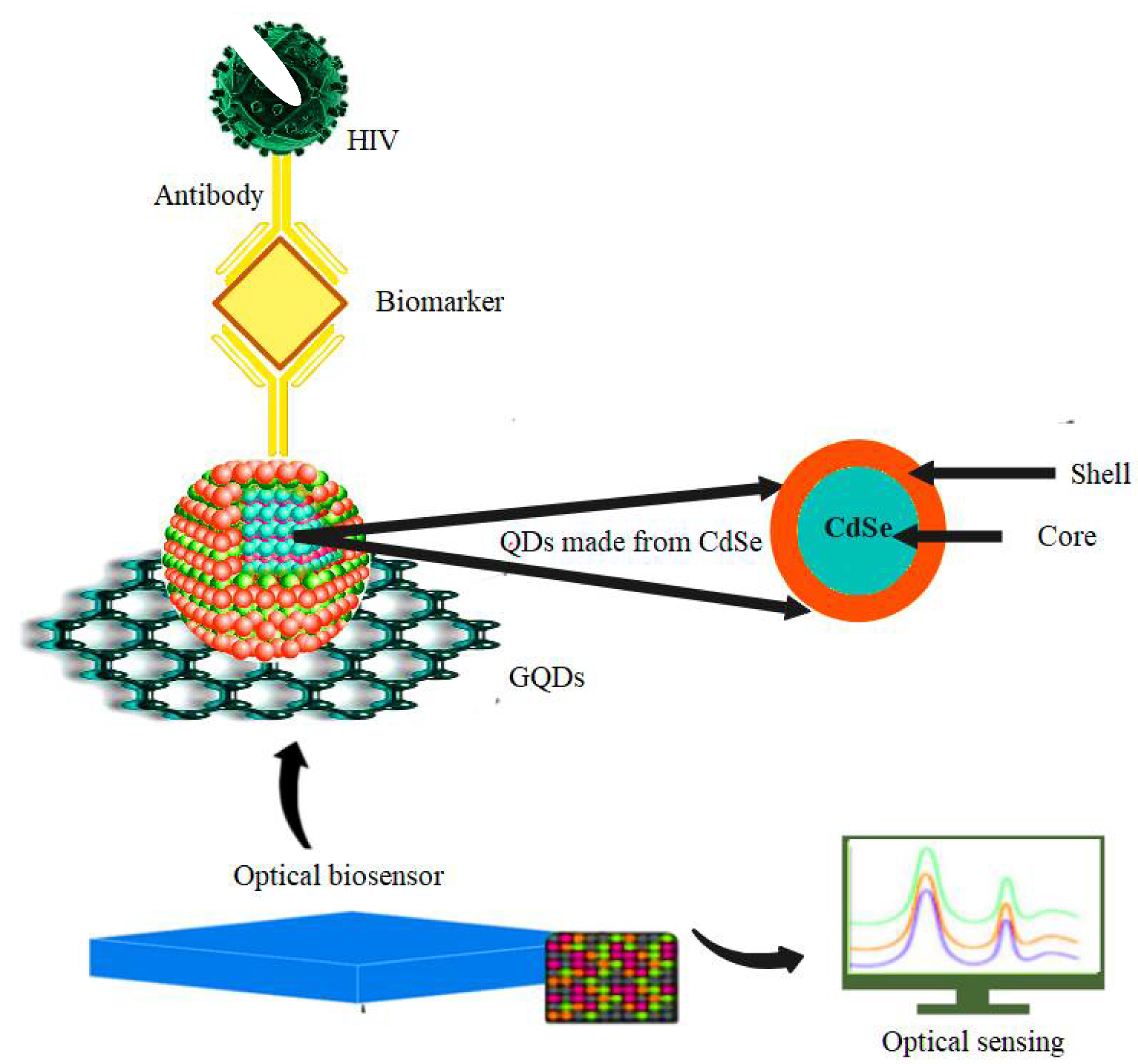 Pharmaceuticals 15 00880 g009