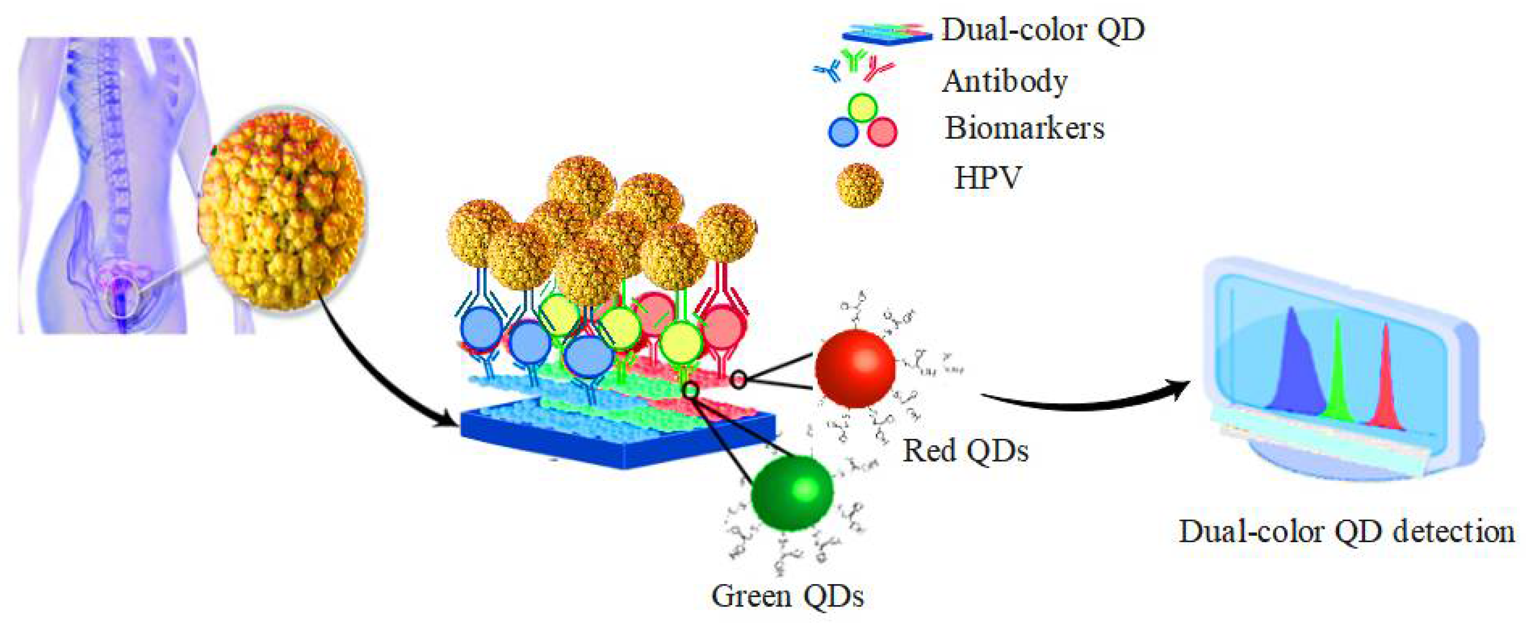 Pharmaceuticals 15 00880 g010