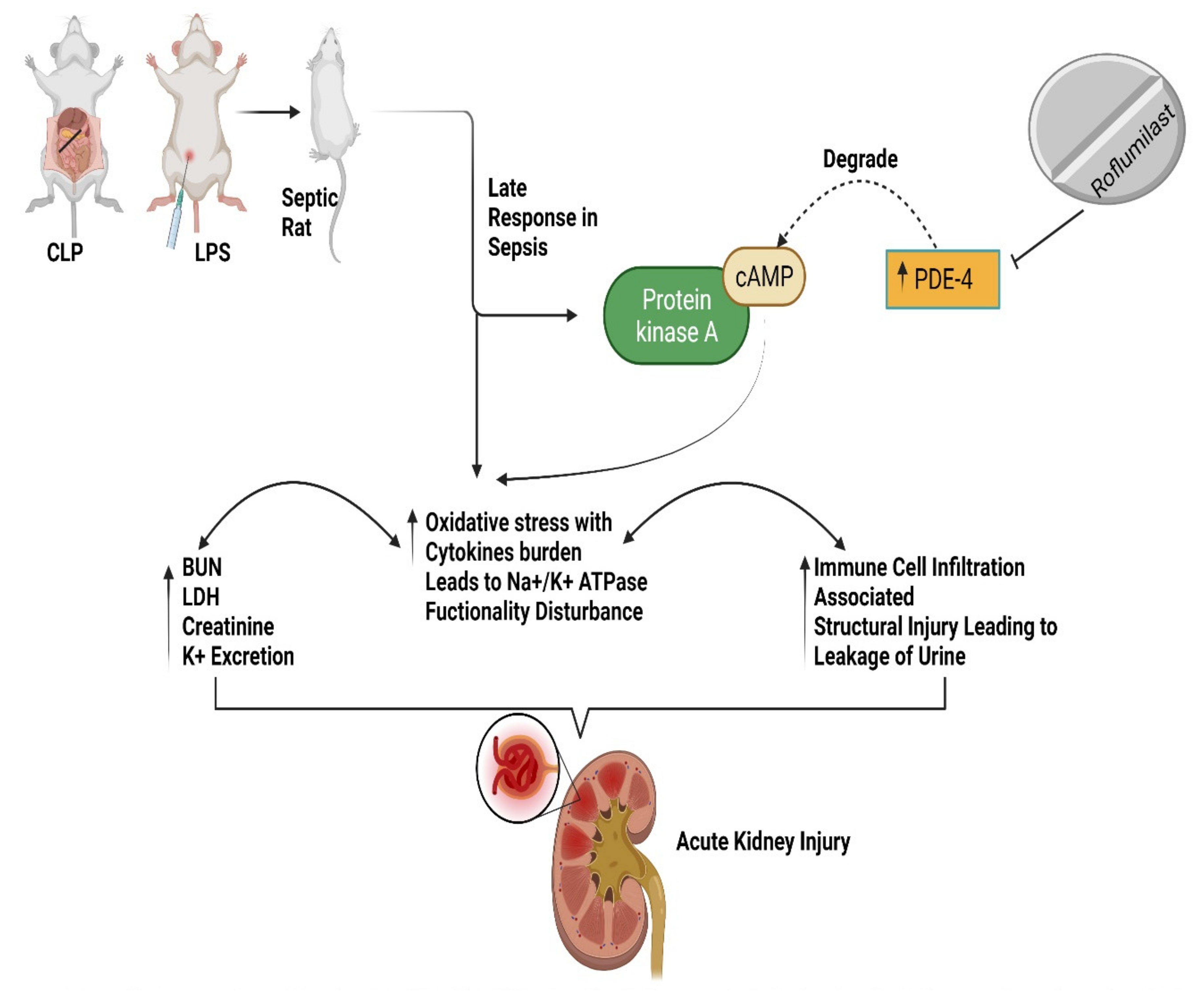 Pharmaceuticals 15 00899 g003 Pharmaceuticals 15 00899 g003