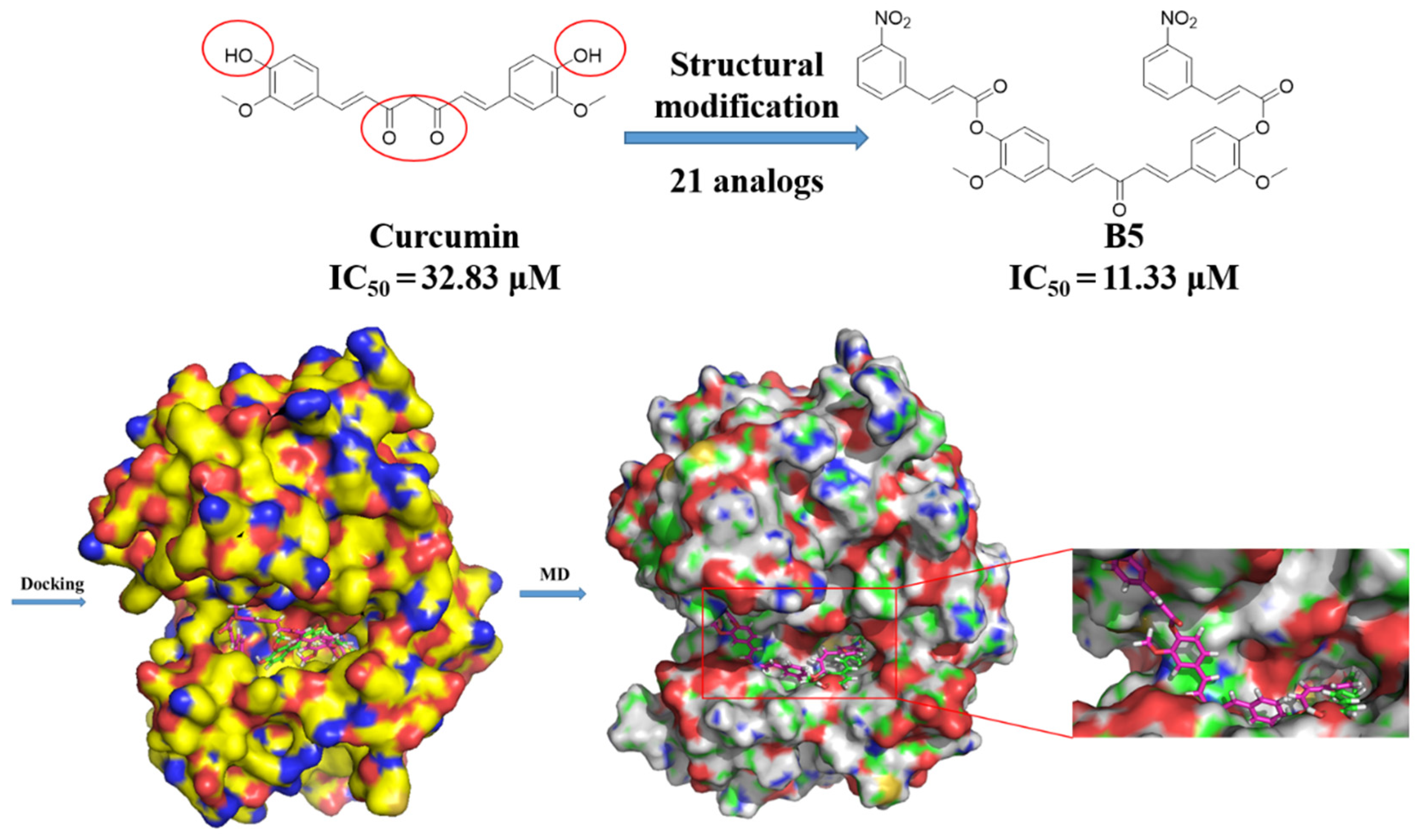 Pharmaceuticals 15 00950 g006