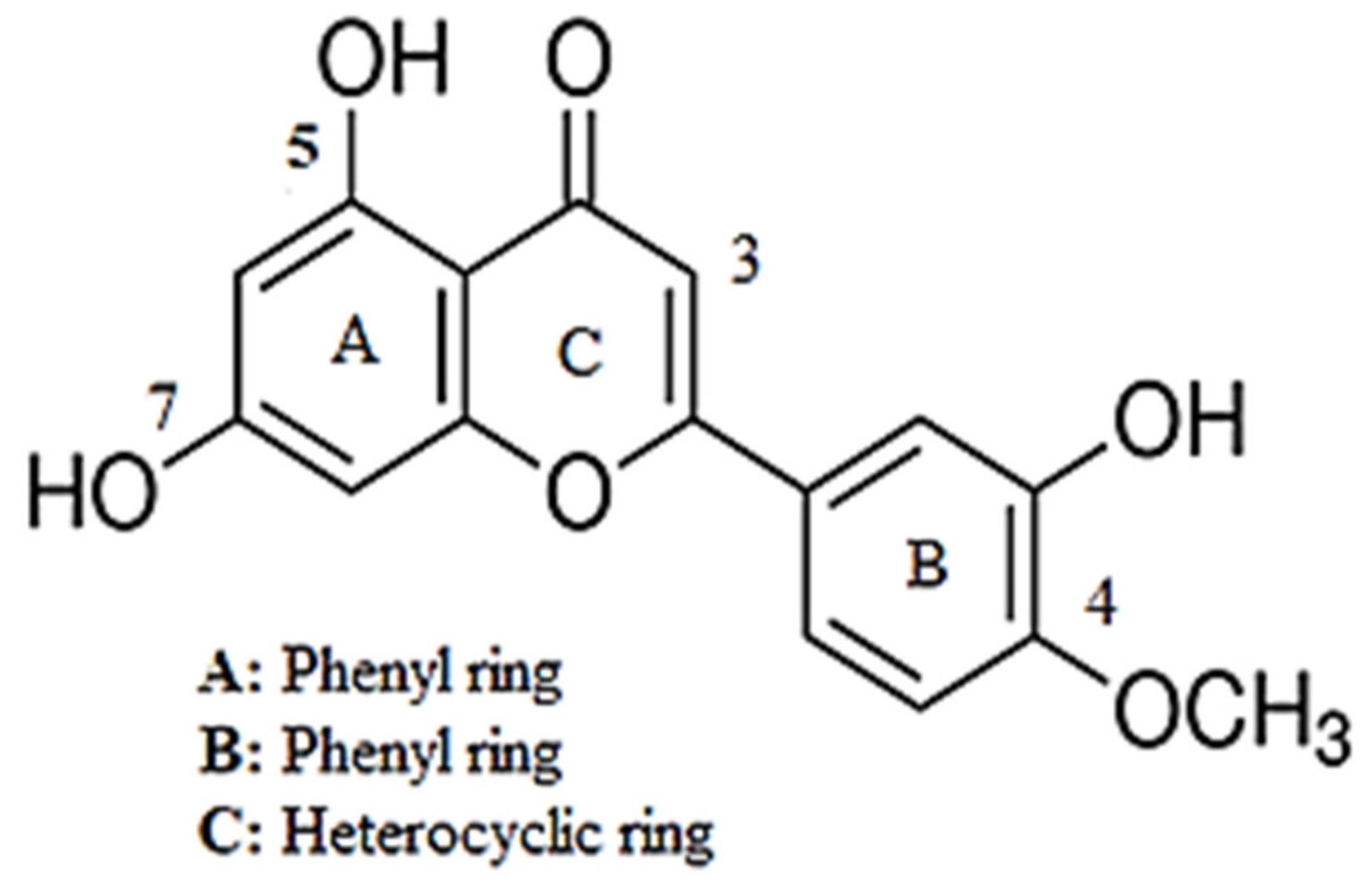 Pharmaceuticals 15 00951 g001