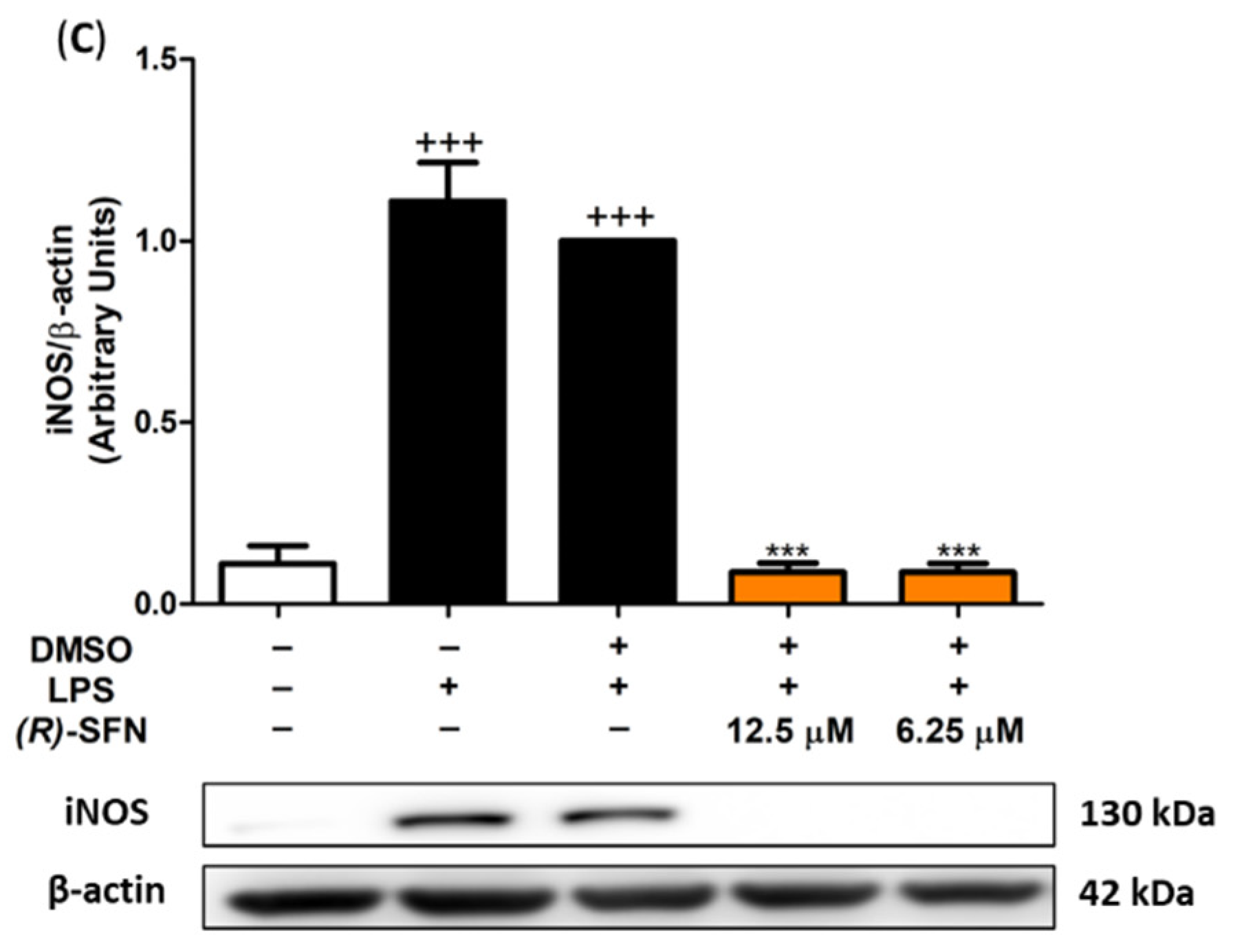 Pharmaceuticals 15 00966 g003b