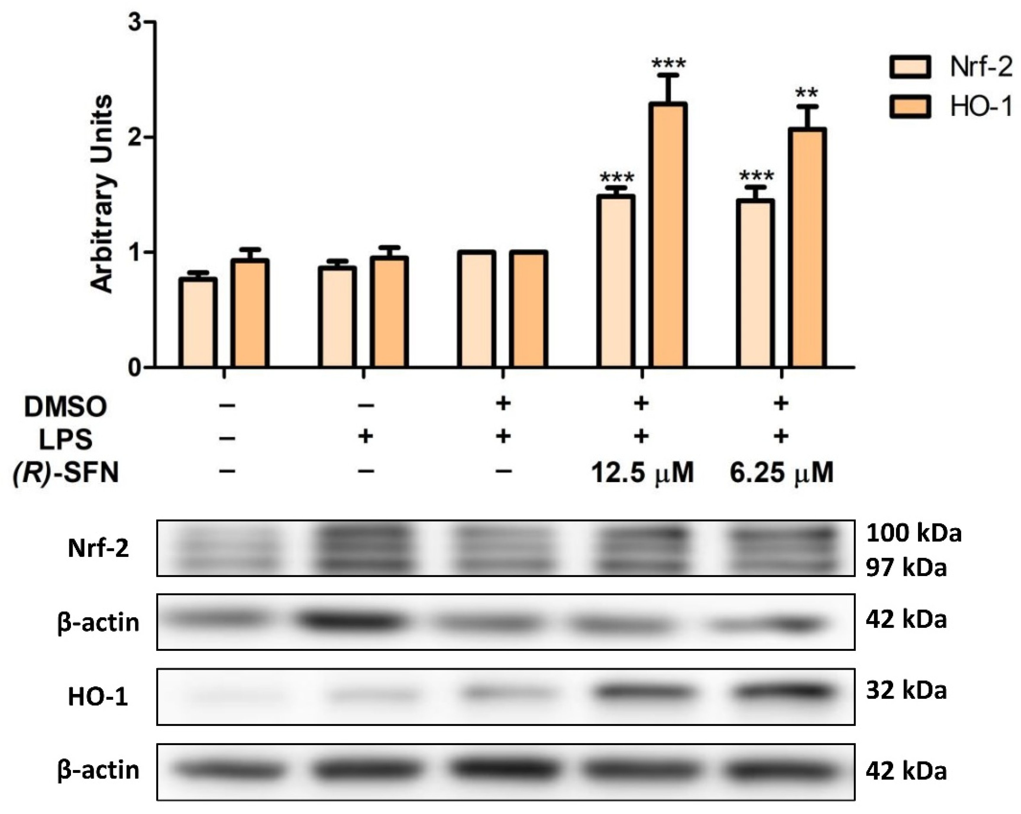 Pharmaceuticals 15 00966 g006