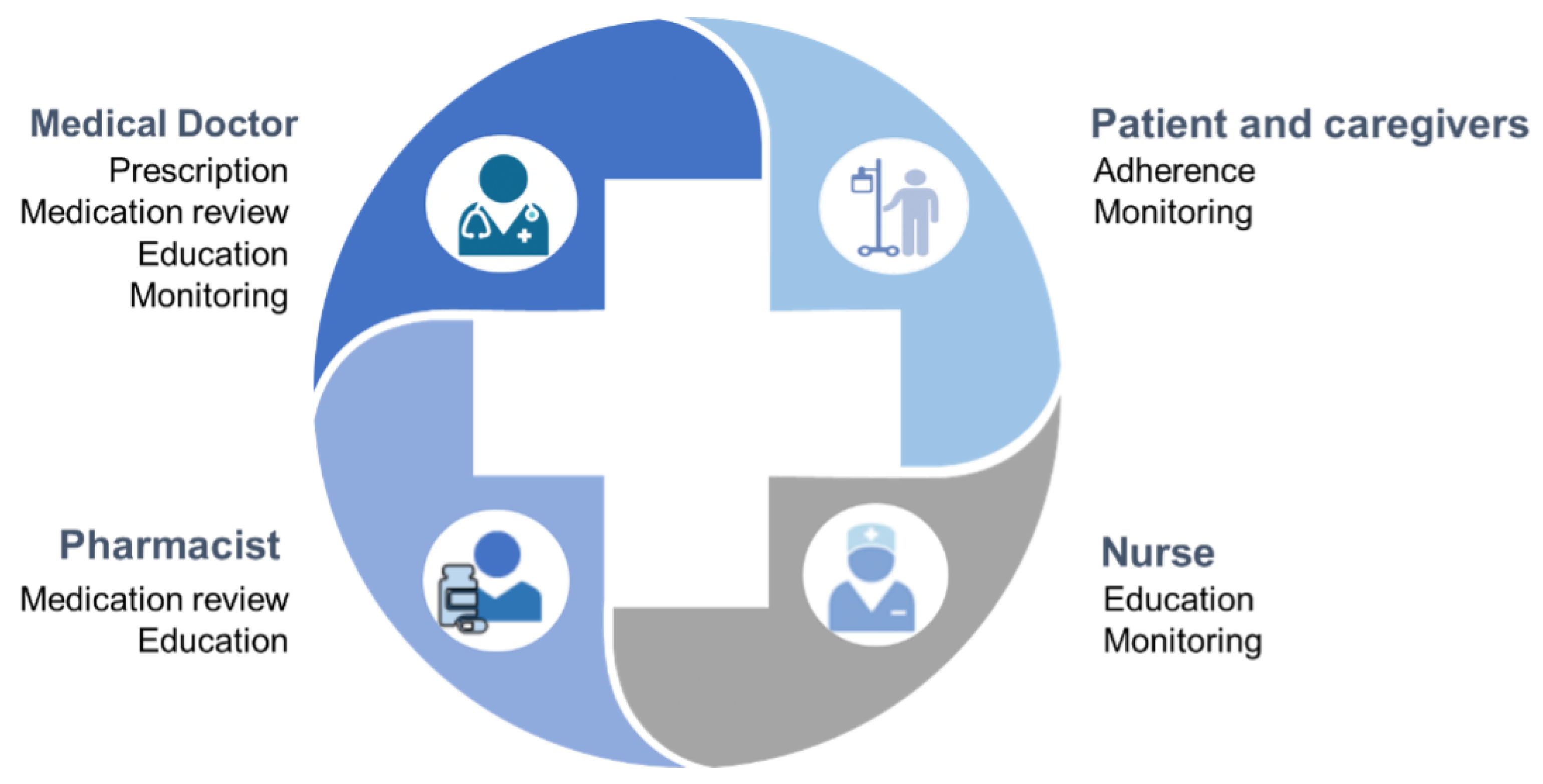 Strategies and Tools for Supporting the Appropriateness of Drug Use in ...