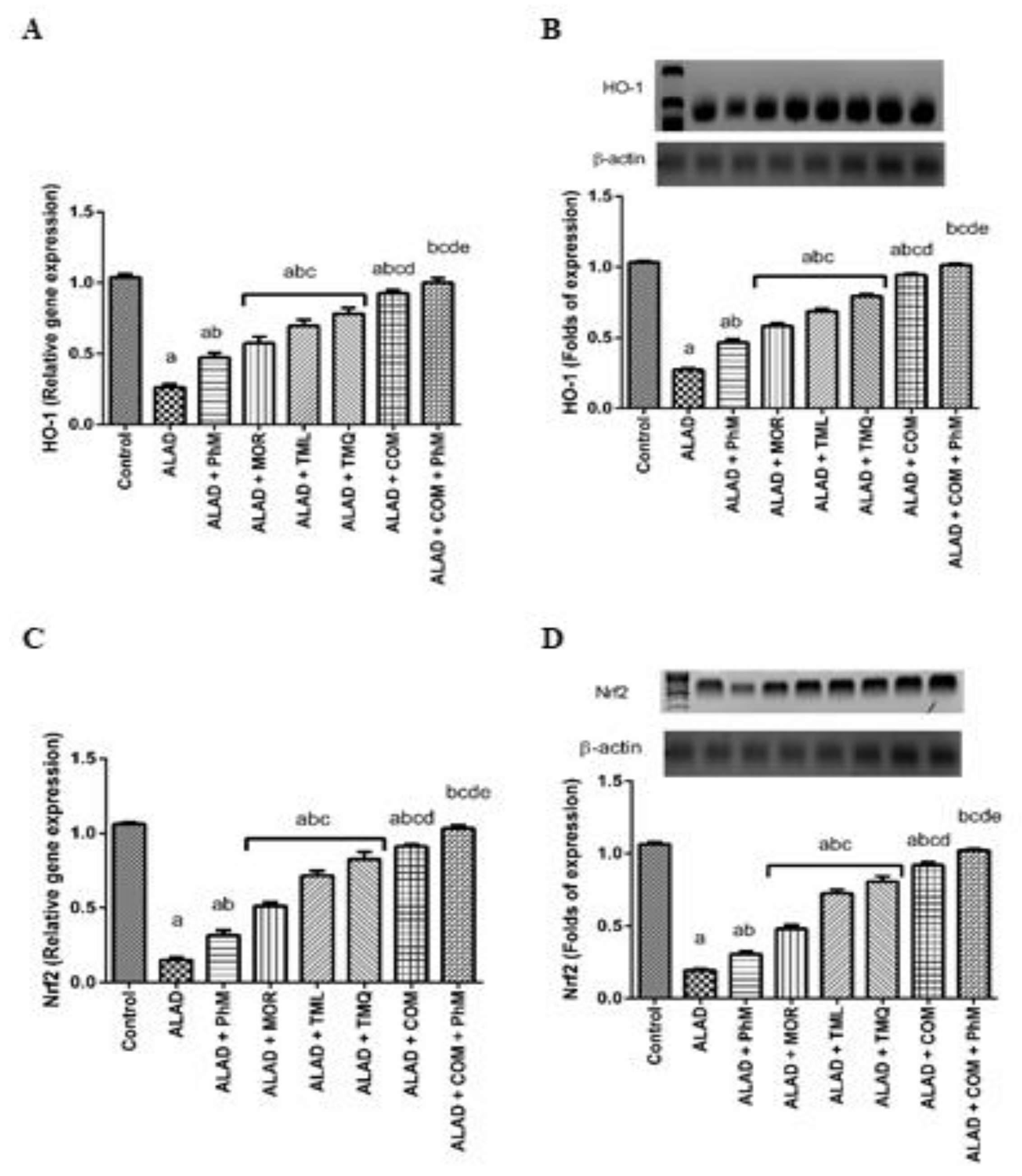 Pharmaceuticals 15 01008 g003