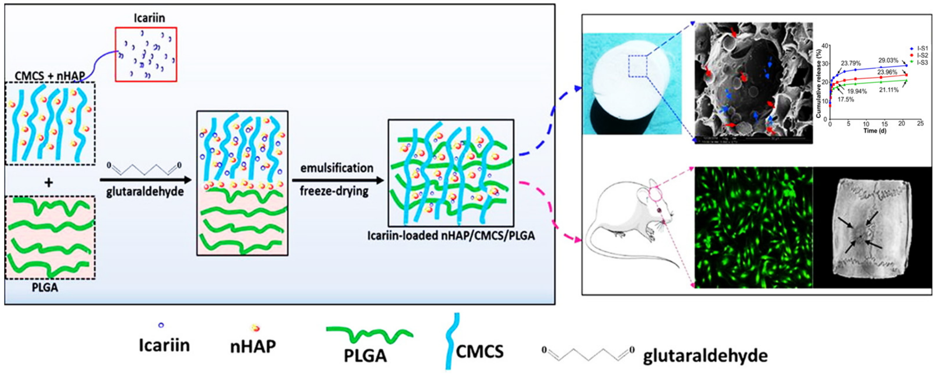 Pharmaceuticals 15 01023 g004