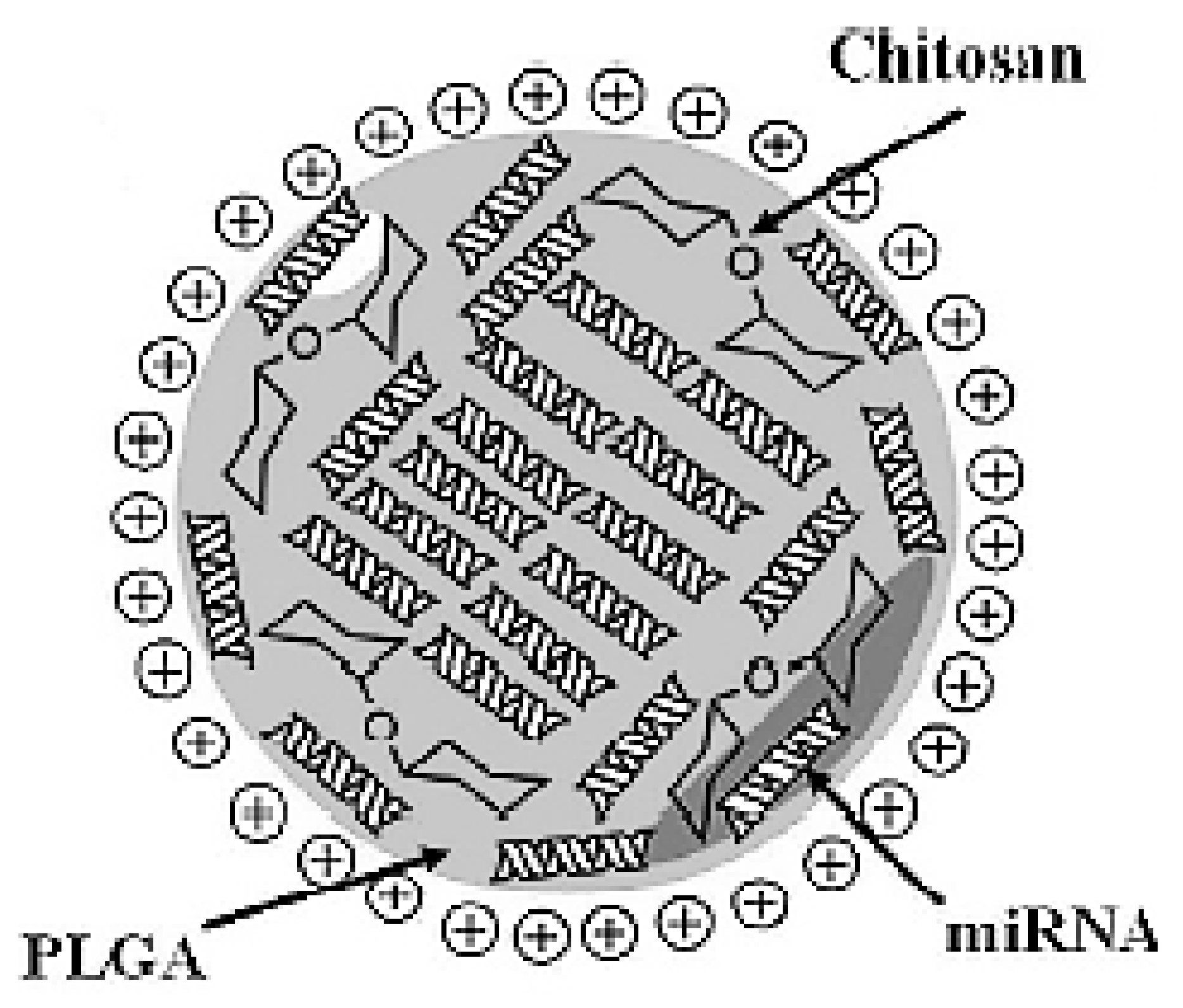 Pharmaceuticals 15 01036 g004