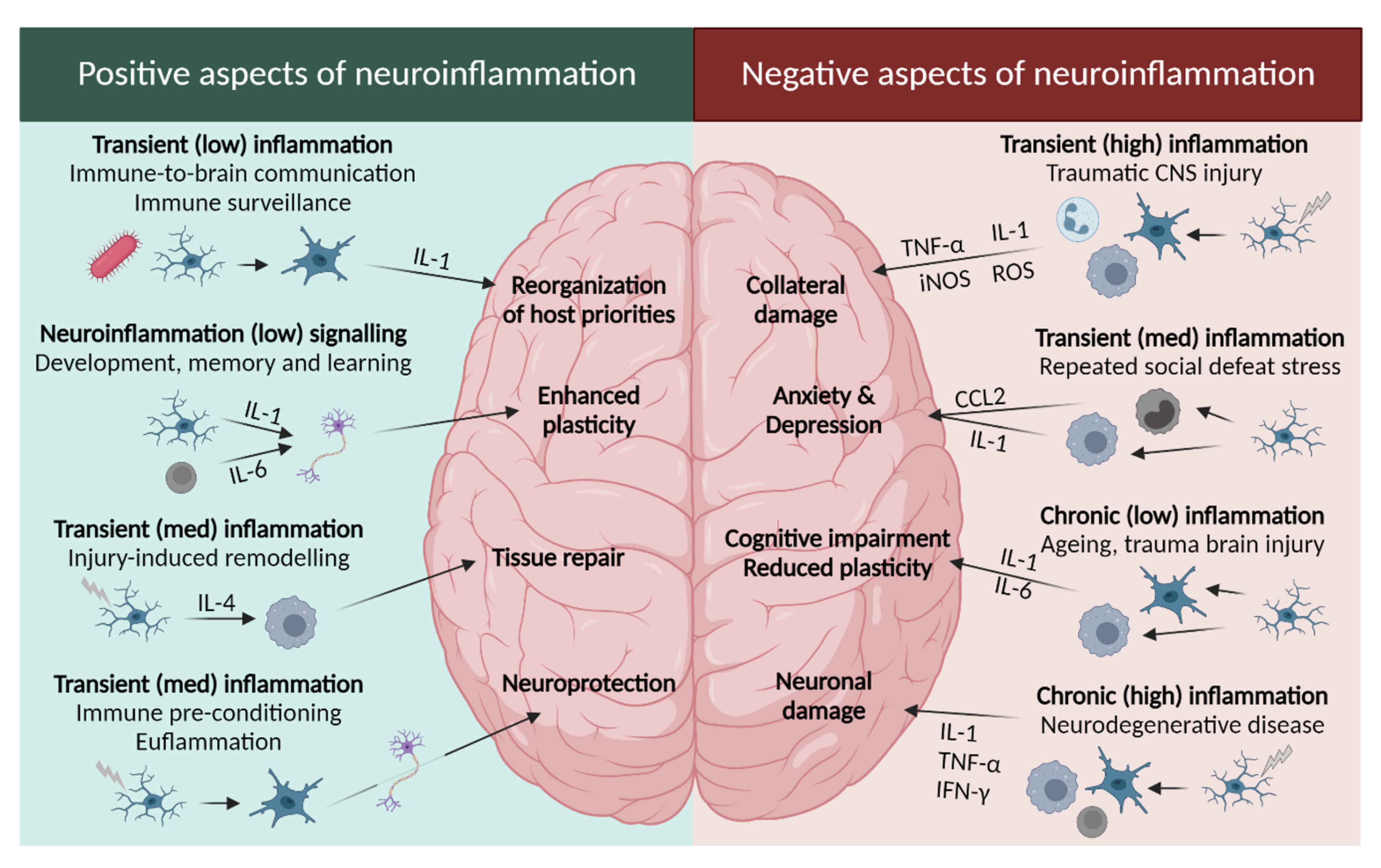 Pharmaceuticals 15 01039 g003