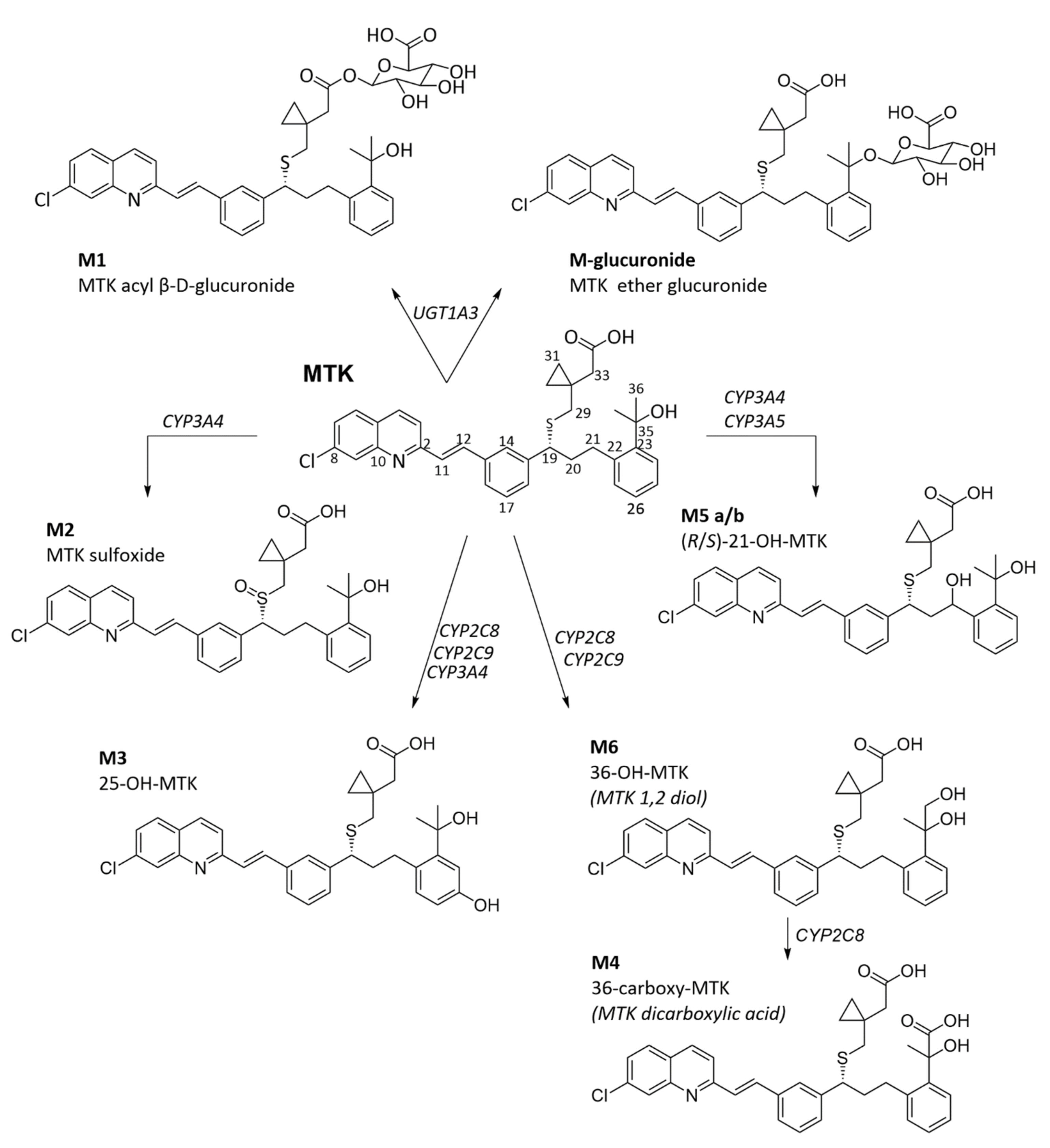 Pharmaceuticals 15 01039 g005