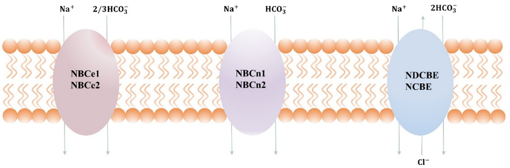 Pharmaceuticals 15 01082 g001 Pharmaceuticals 15 01082 g001