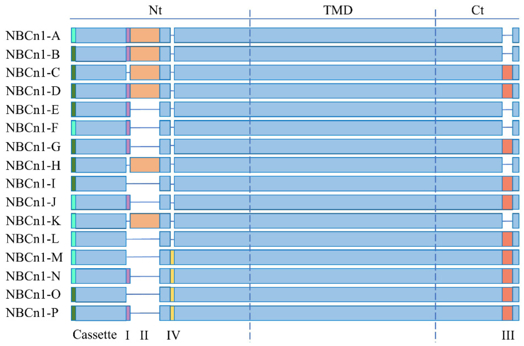 Pharmaceuticals 15 01082 g003 Pharmaceuticals 15 01082 g003
