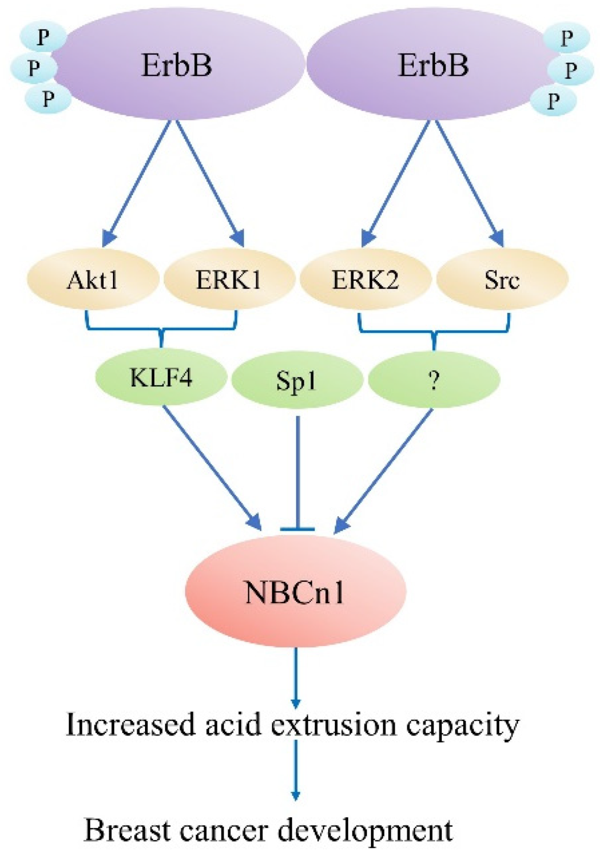 Pharmaceuticals 15 01082 g004 Pharmaceuticals 15 01082 g004