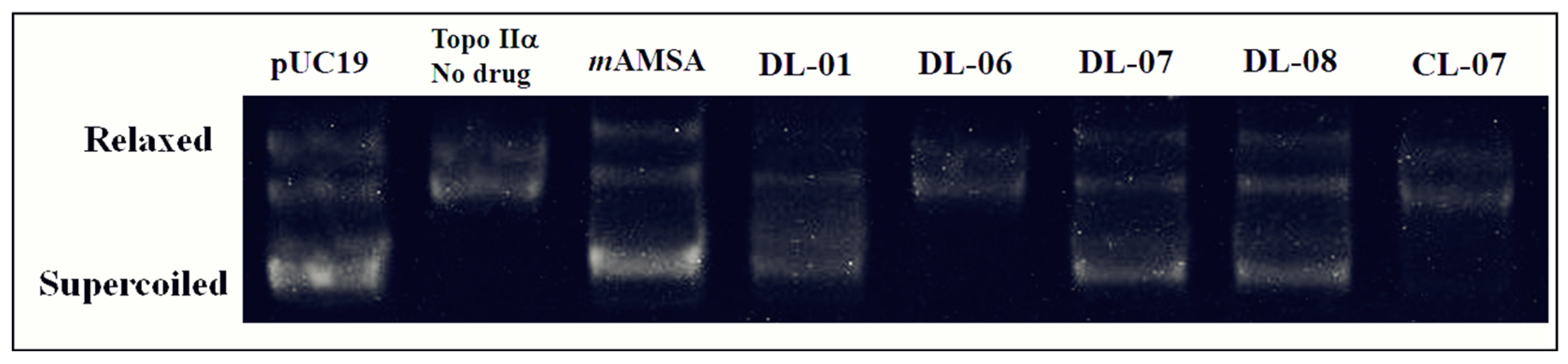 Pharmaceuticals 15 01098 g002