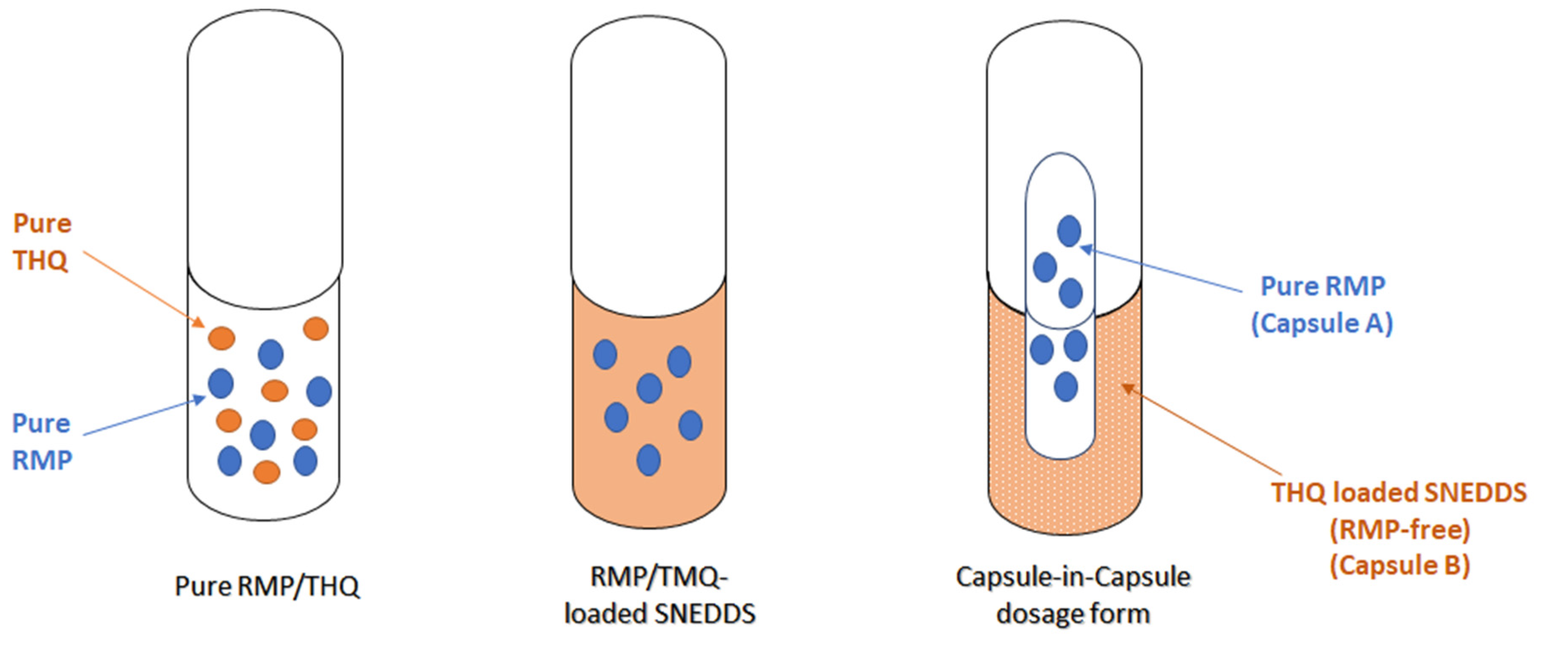 Pharmaceuticals 15 01120 g011